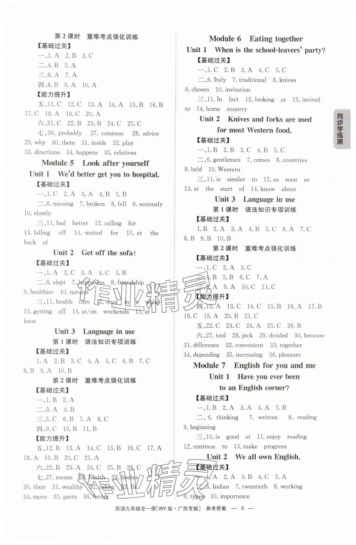 2024年全效學習同步學練測九年級英語全一冊外研版廣西專版 第9頁