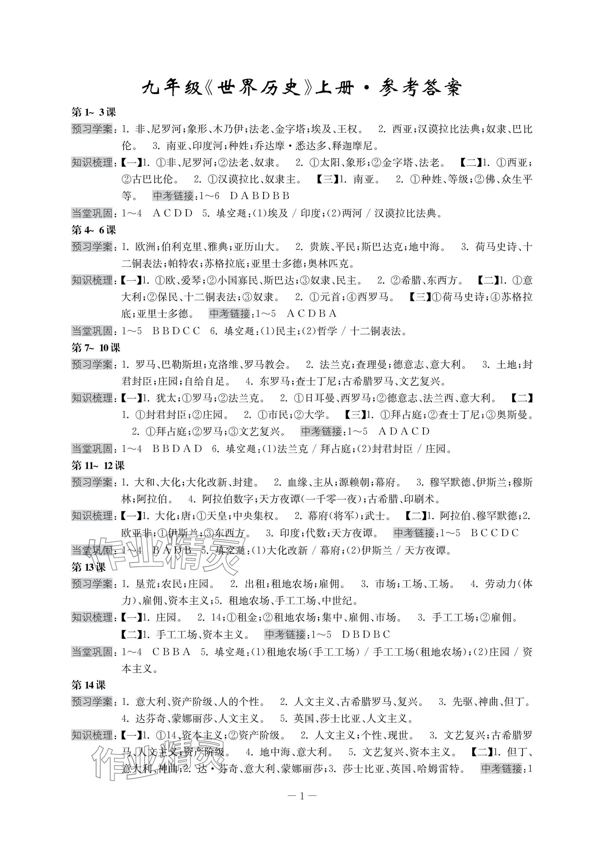 2024年領先一步三維提優(yōu)九年級全一冊歷史 參考答案第1頁