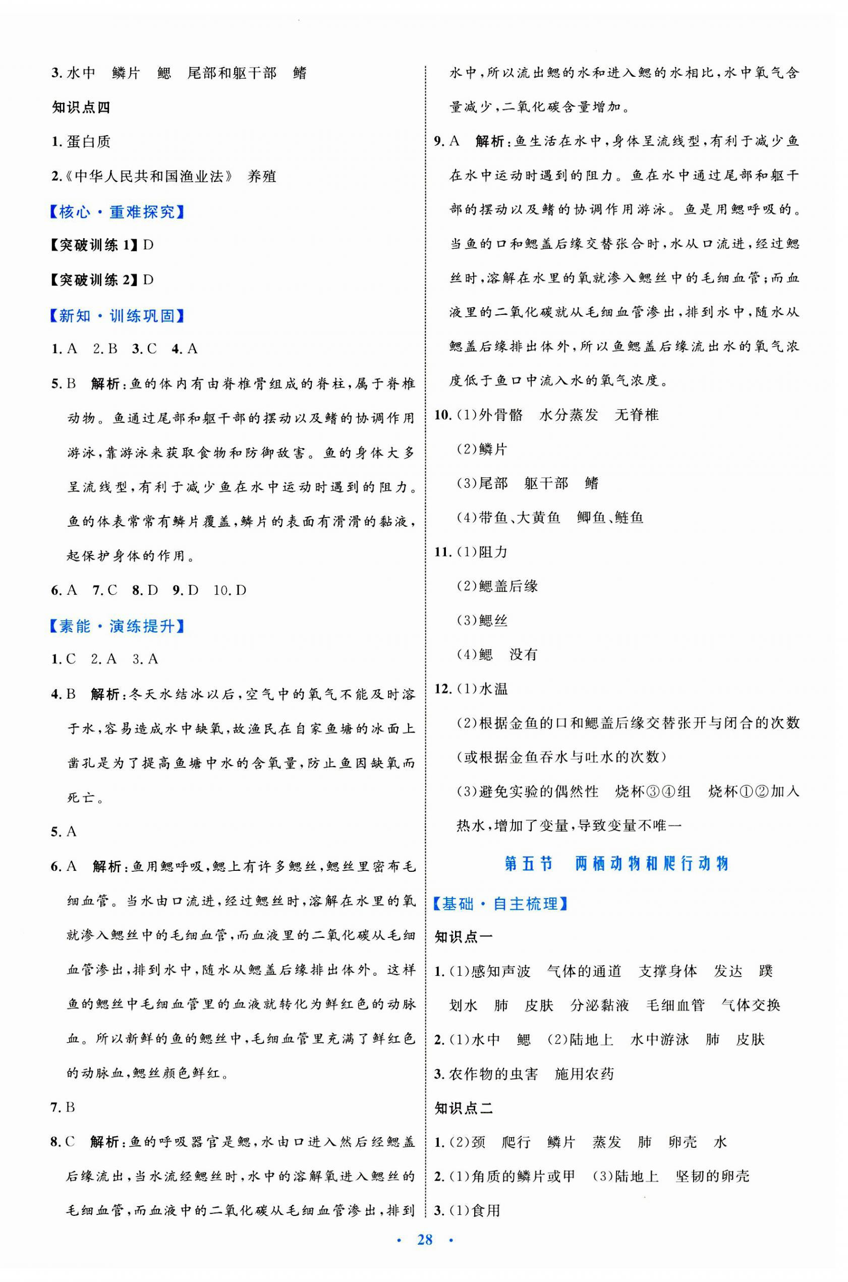 2023年同步學習目標與檢測八年級生物上冊人教版 第4頁