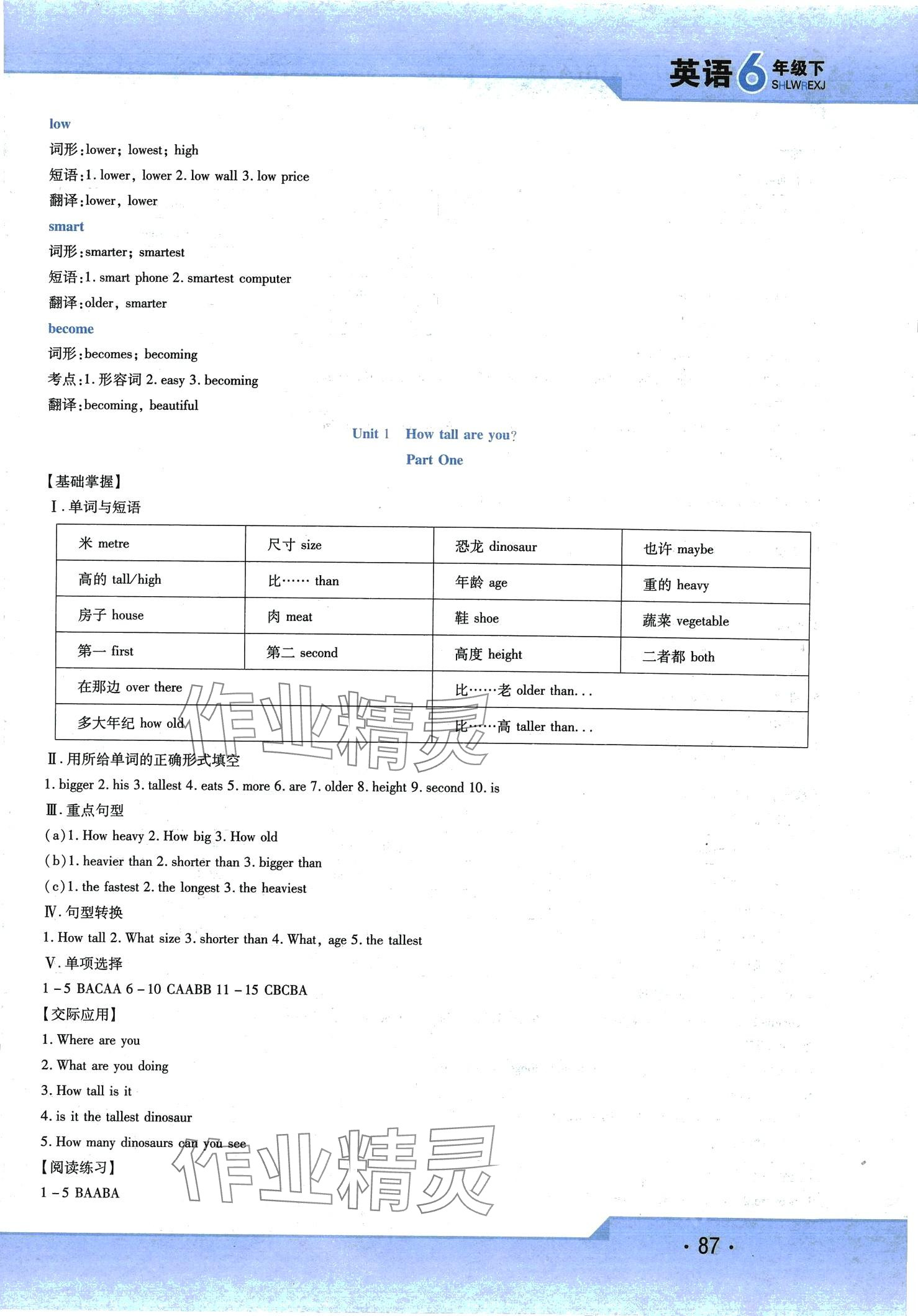 2024年精析巧練六年級英語下冊人教版 第3頁