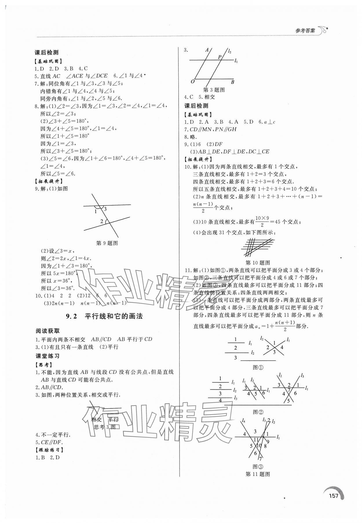 2024年同步练习册泰山出版社七年级数学下册青岛版 第5页