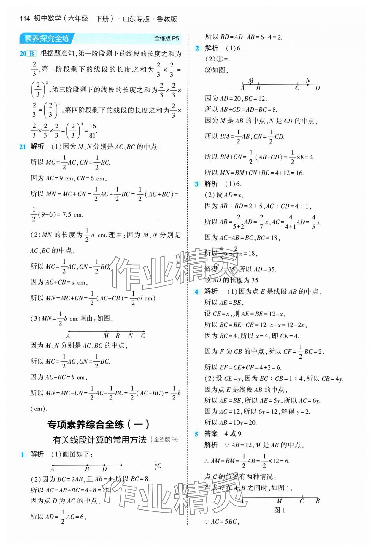 2024年5年中考3年模拟六年级数学下册鲁教版山东专版54制 参考答案第4页