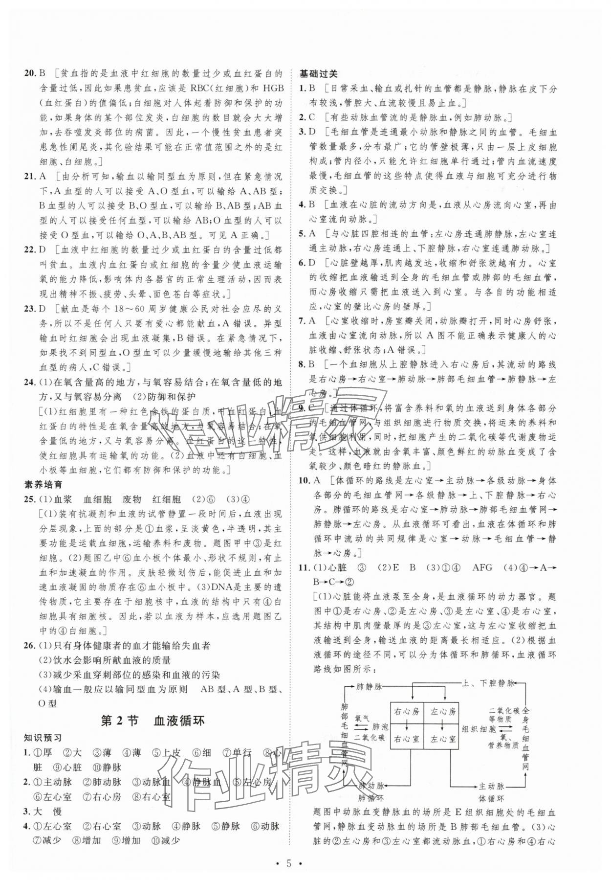 2024年思路教練同步課時(shí)作業(yè)七年級(jí)生物下冊(cè)北師大版 第5頁(yè)