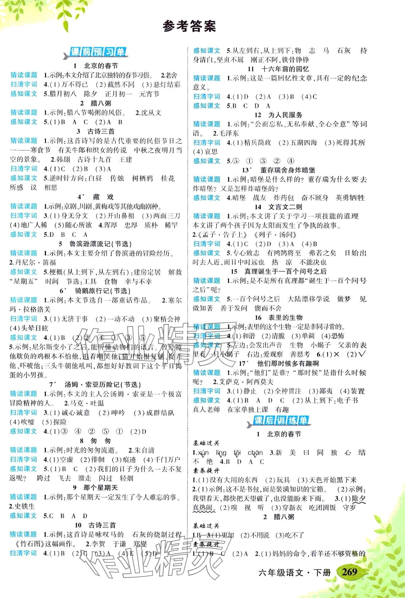 2024年黄冈状元成才路状元大课堂六年级语文下册人教版湖北专版 第1页