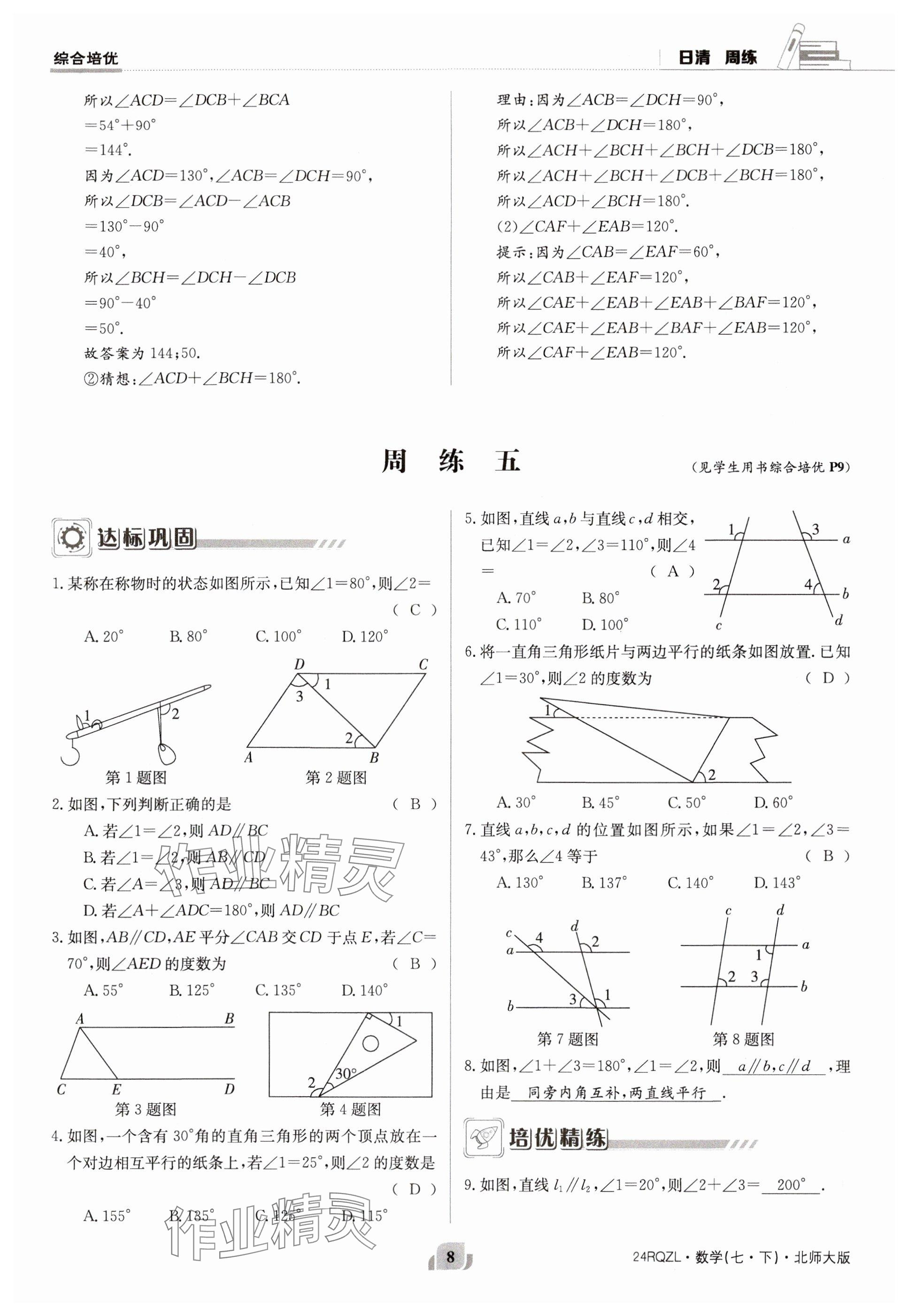 2024年日清周练七年级数学下册北师大版 参考答案第8页