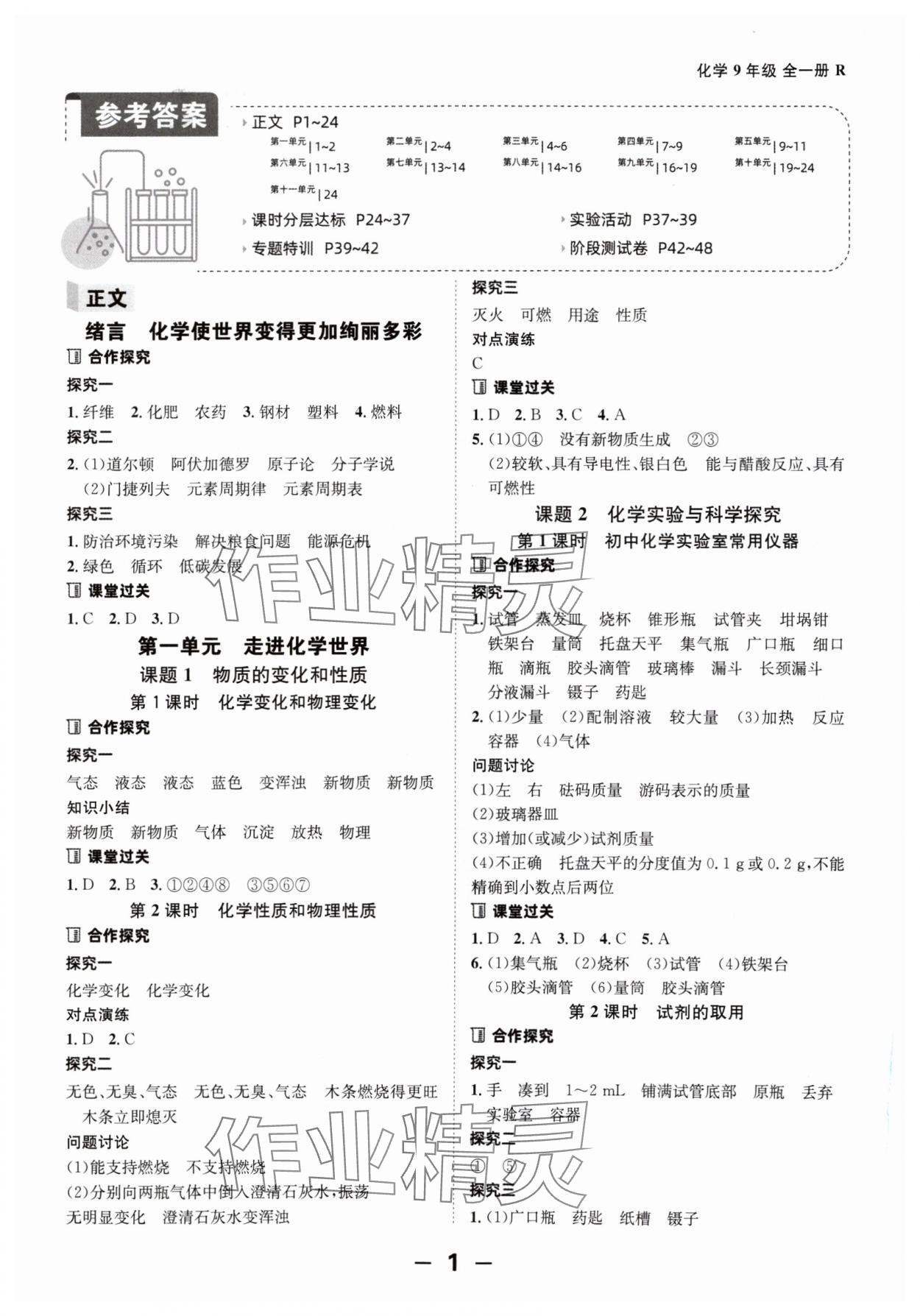 2024年全程突破九年級(jí)化學(xué)全一冊人教版 第1頁