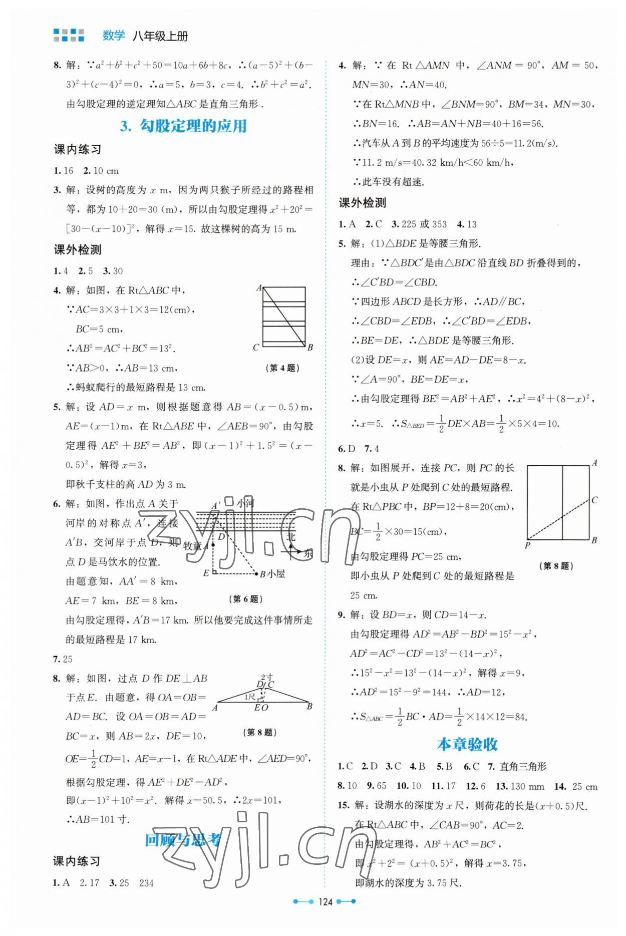 2023年伴你学北京师范大学出版社八年级数学上册北师大版 第2页