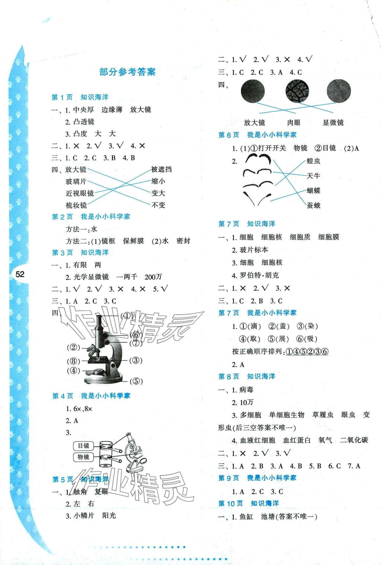 2024年寒假作业与生活陕西人民教育出版社六年级科学 第1页