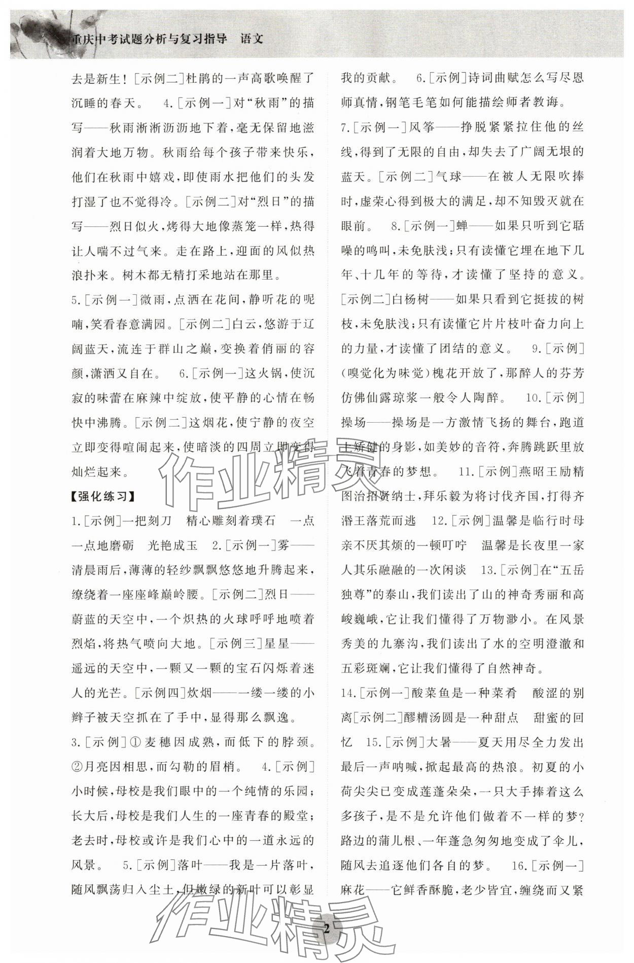 2024年重庆市中考试题分析与复习指导语文 第2页