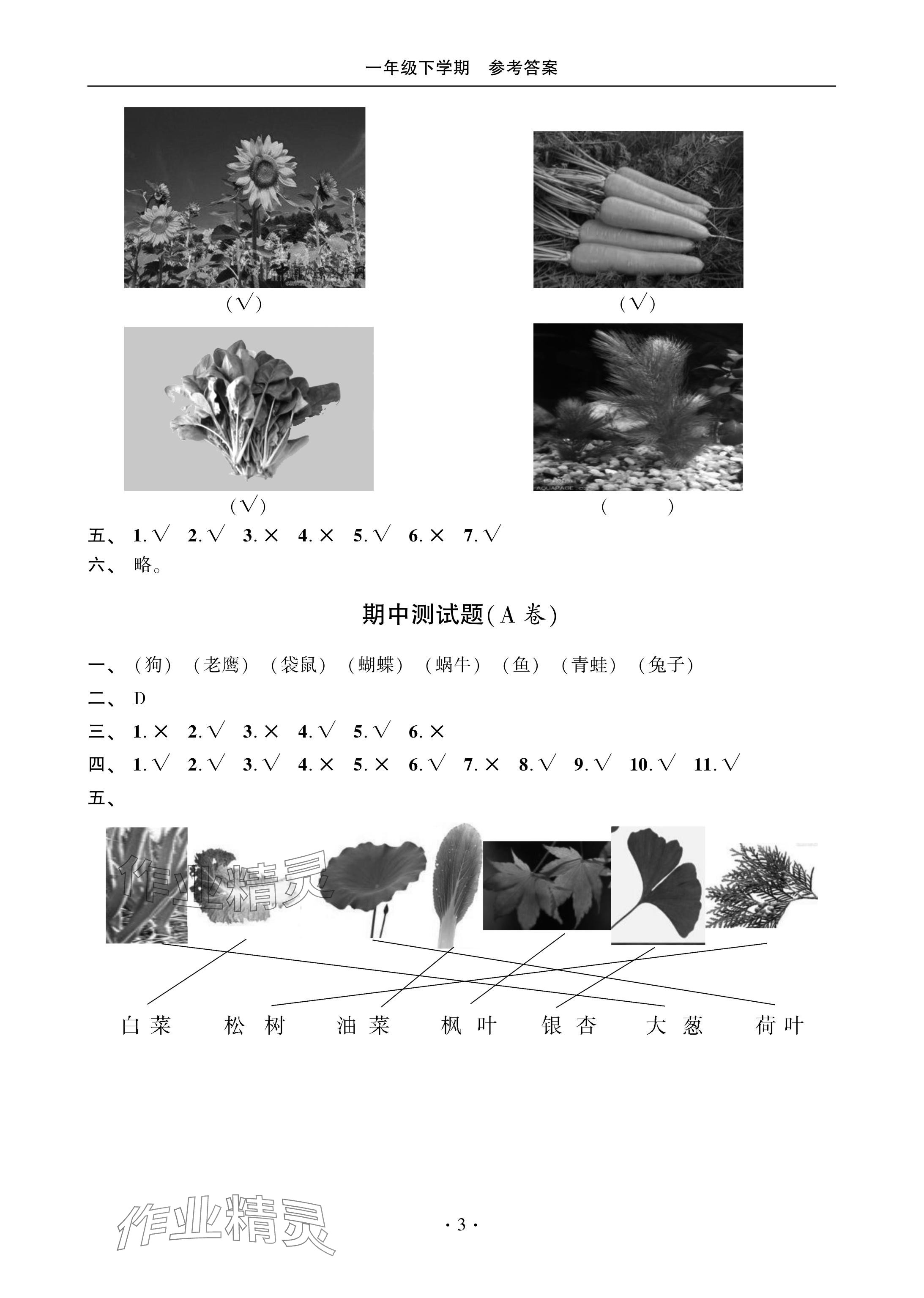 2024年单元自测试卷青岛出版社一年级科学下册青岛版 参考答案第3页