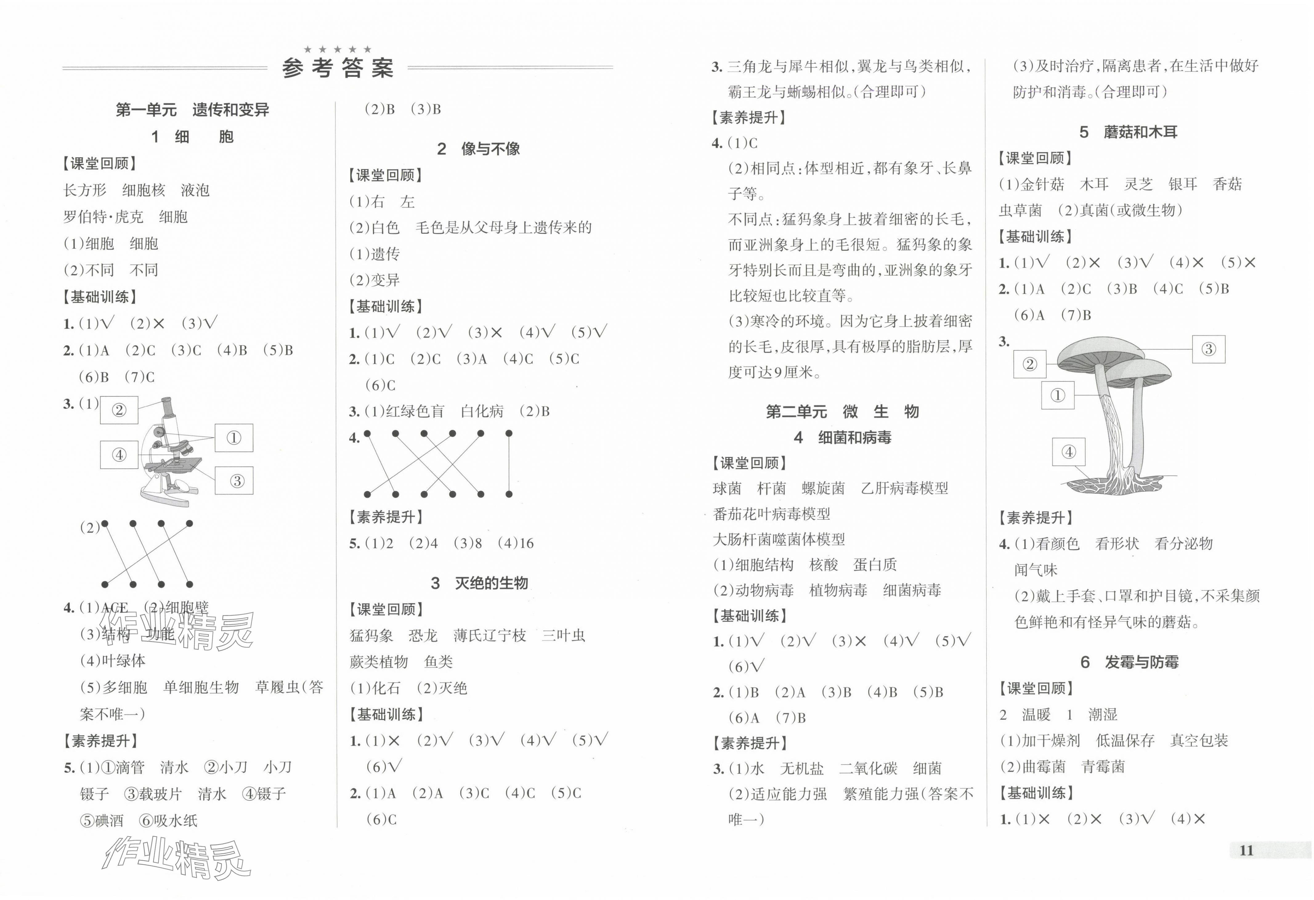 2024年小學(xué)學(xué)霸作業(yè)本六年級(jí)科學(xué)上冊(cè)青島版 第1頁