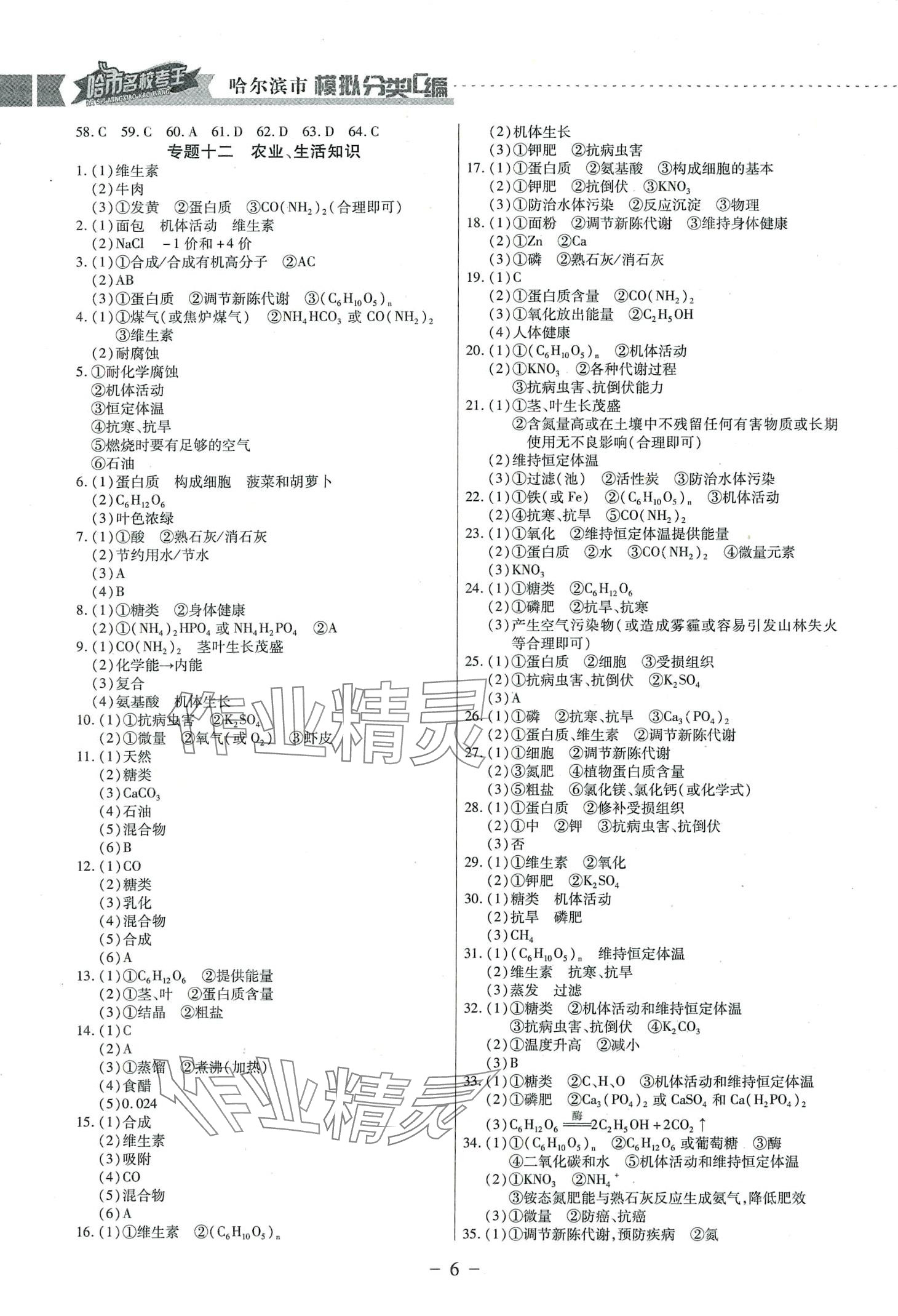 2024年哈市名校考王分类汇编化学中考哈尔滨专版 参考答案第6页