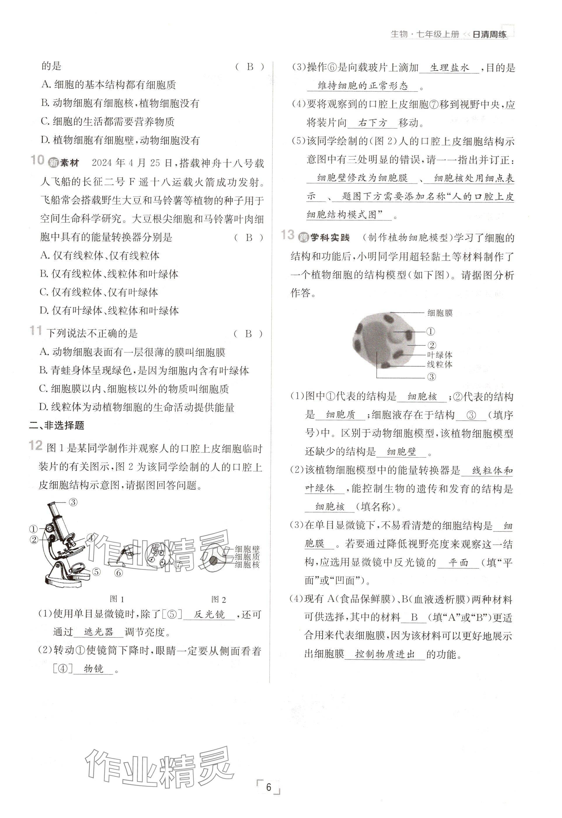 2024年日清周練七年級(jí)生物上冊(cè)人教版 參考答案第6頁(yè)