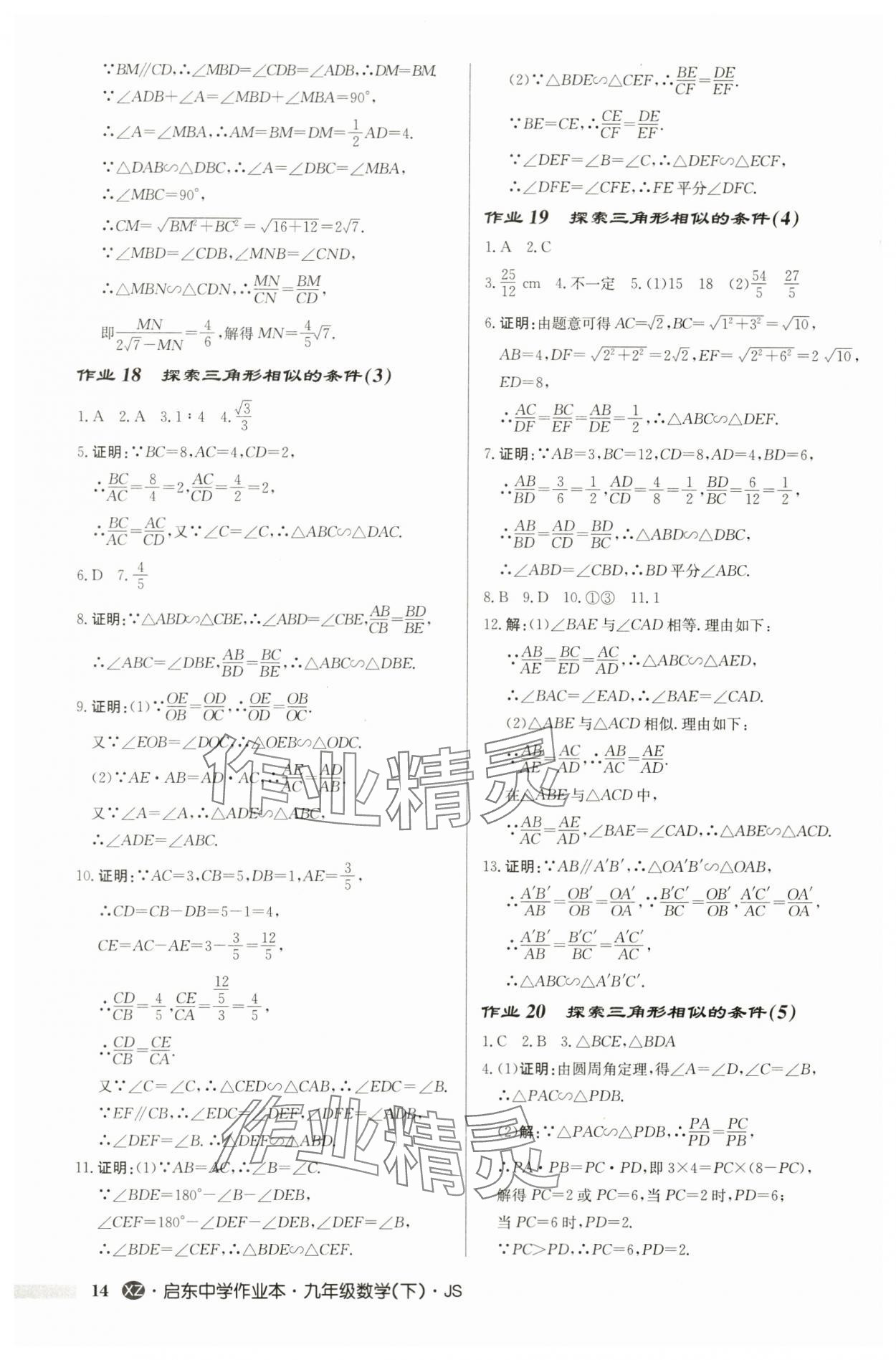 2024年啟東中學作業(yè)本九年級數(shù)學下冊蘇科版徐州專版 第14頁