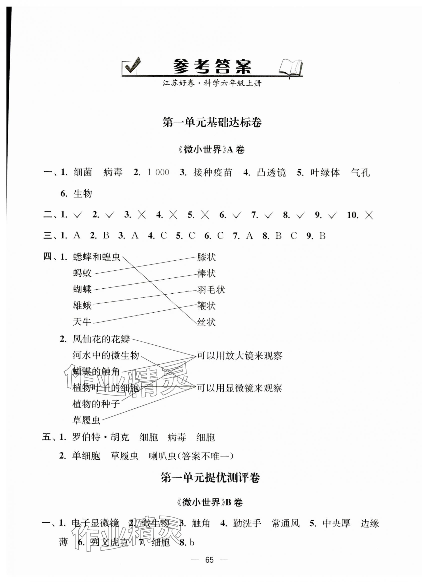 2023年江蘇好卷六年級(jí)科學(xué)上冊(cè)教科版 第1頁(yè)