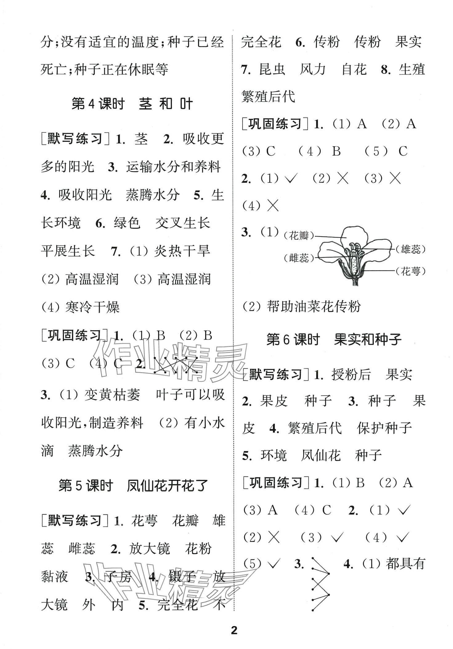 2024年通城学典默写能手四年级科学下册教科版 第2页