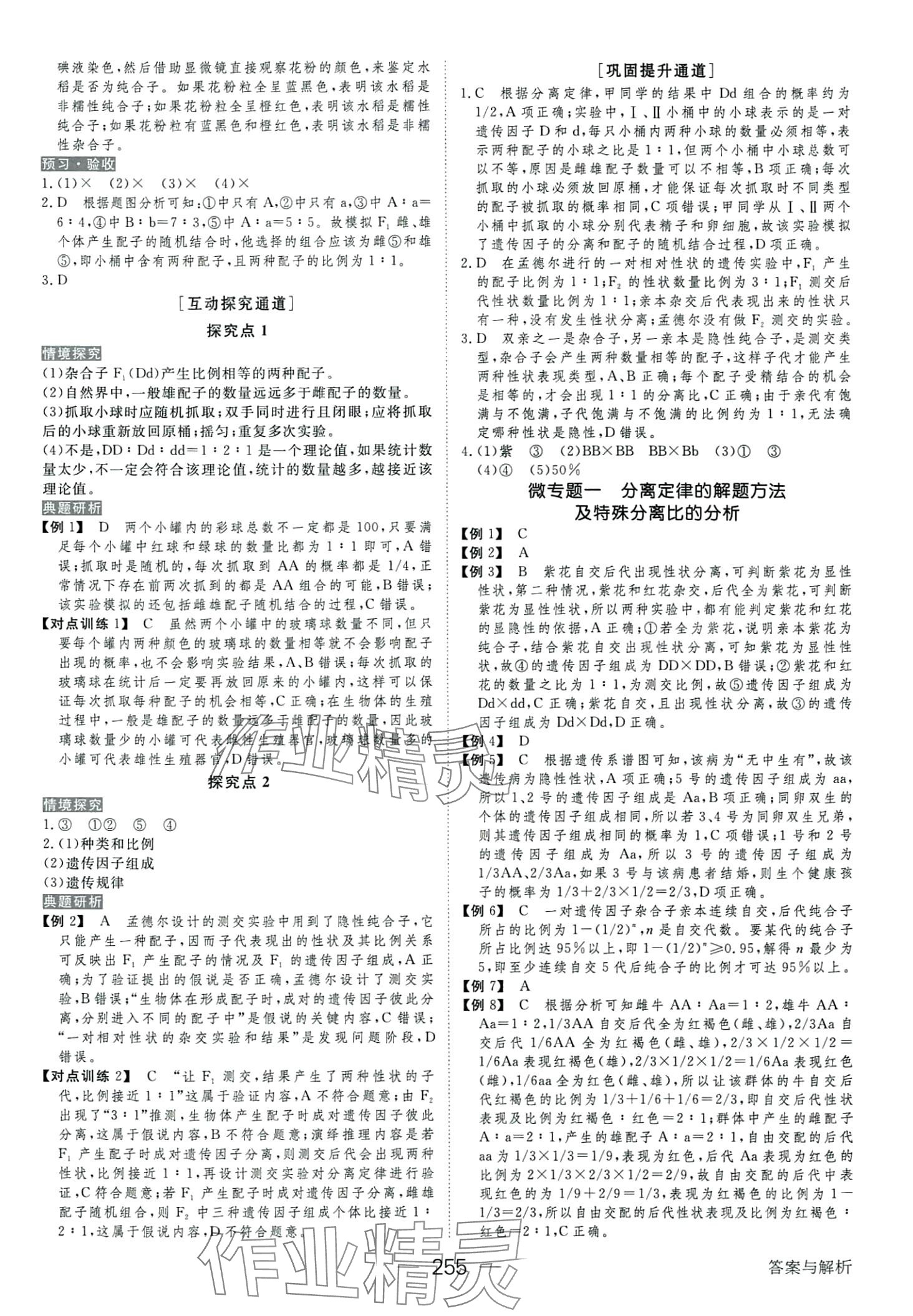 2024年绿色通道高中生物必修2人教版 第3页