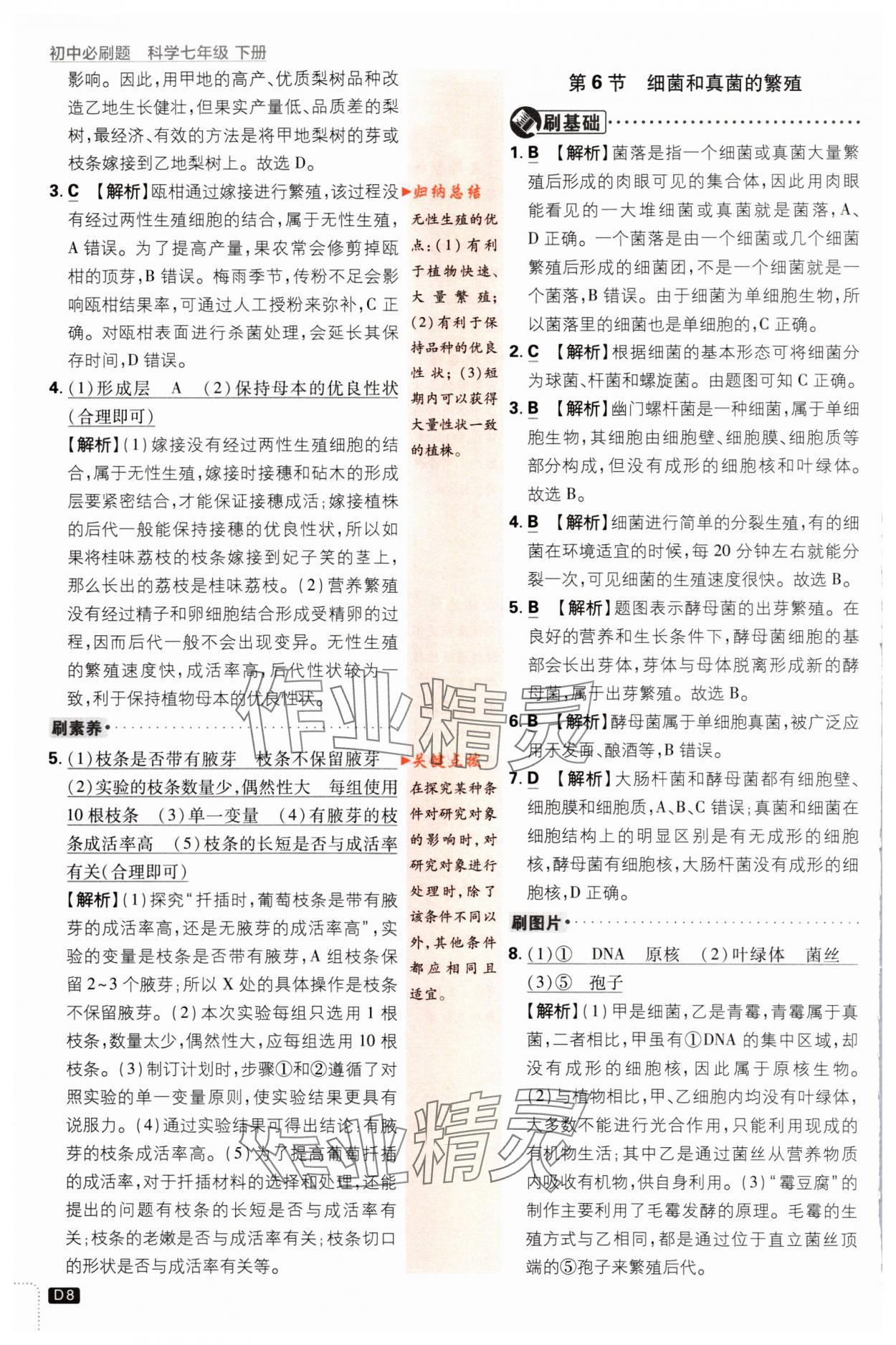 2024年初中必刷題七年級(jí)科學(xué)下冊(cè)浙教版浙江專版 第8頁