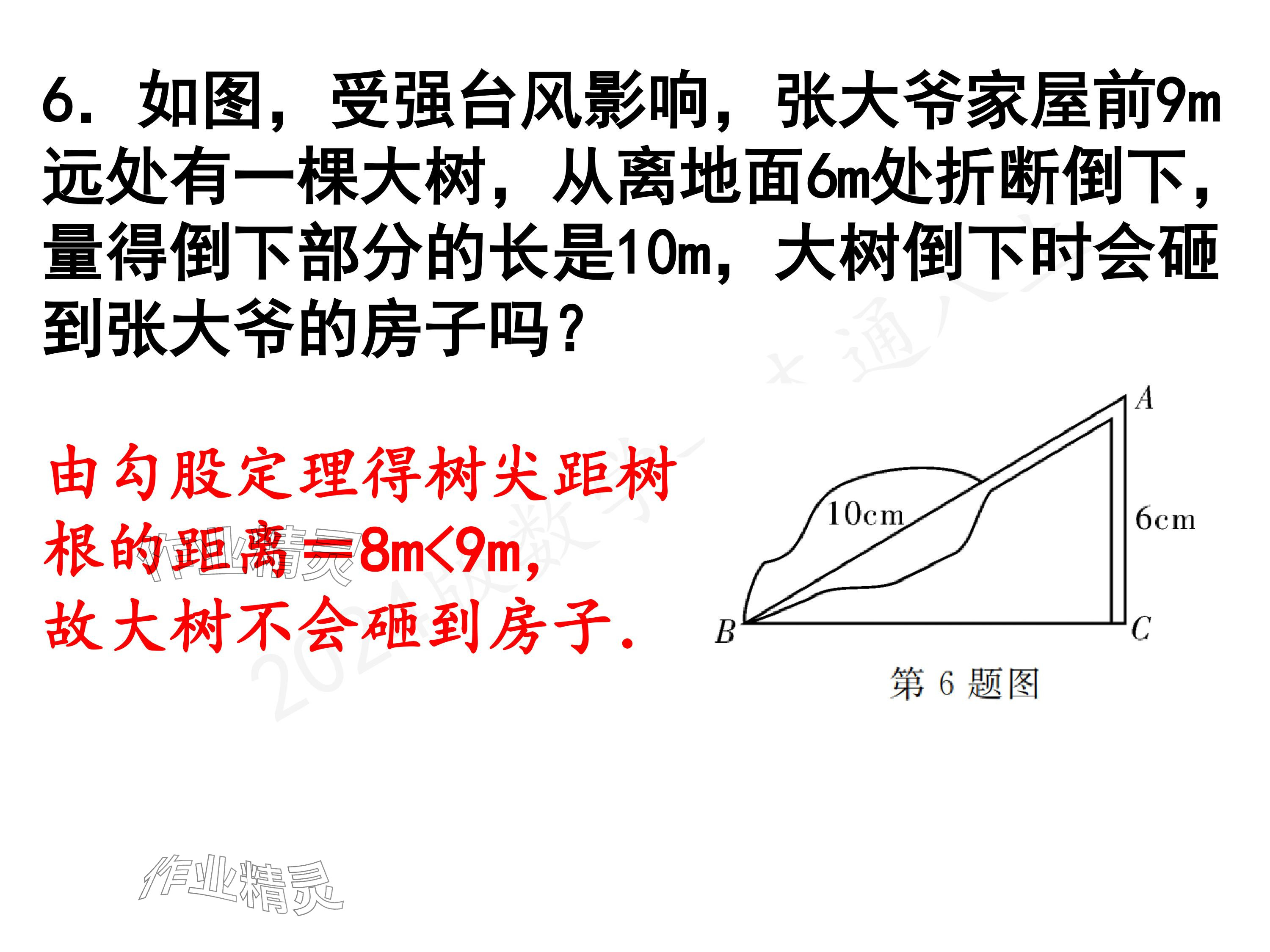 2024年一本通武汉出版社八年级数学上册北师大版精简版 参考答案第6页