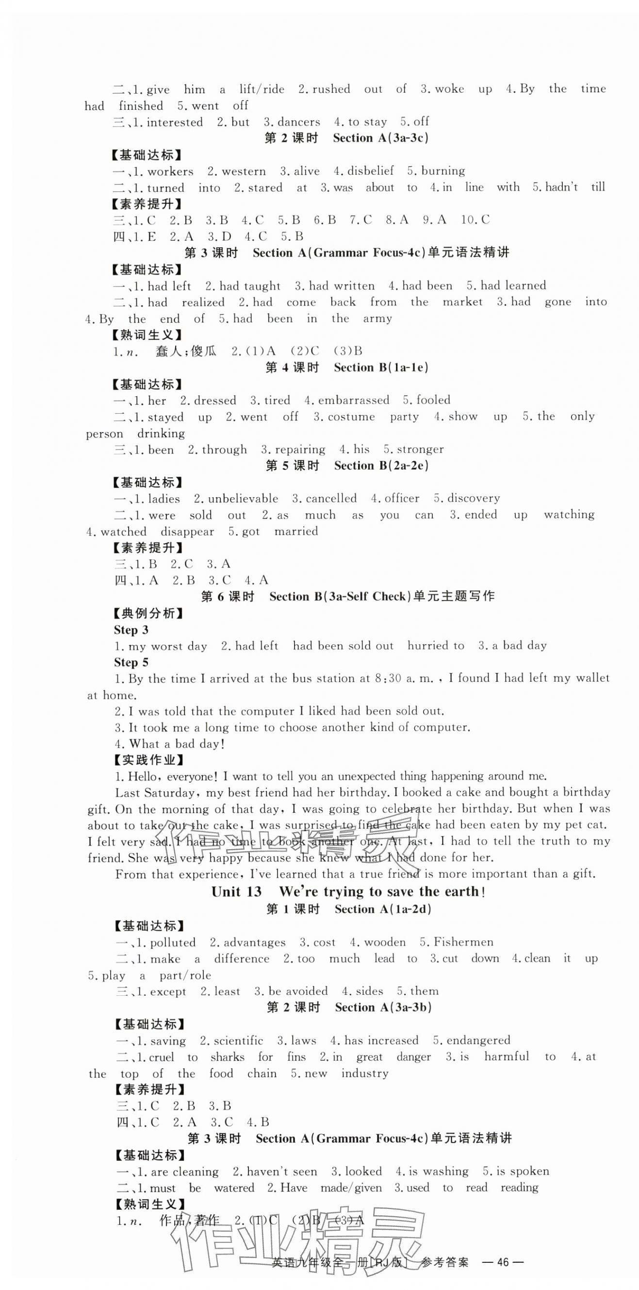 2024年全效學(xué)習(xí)同步學(xué)練測(cè)九年級(jí)英語(yǔ)全一冊(cè)人教版 第10頁(yè)