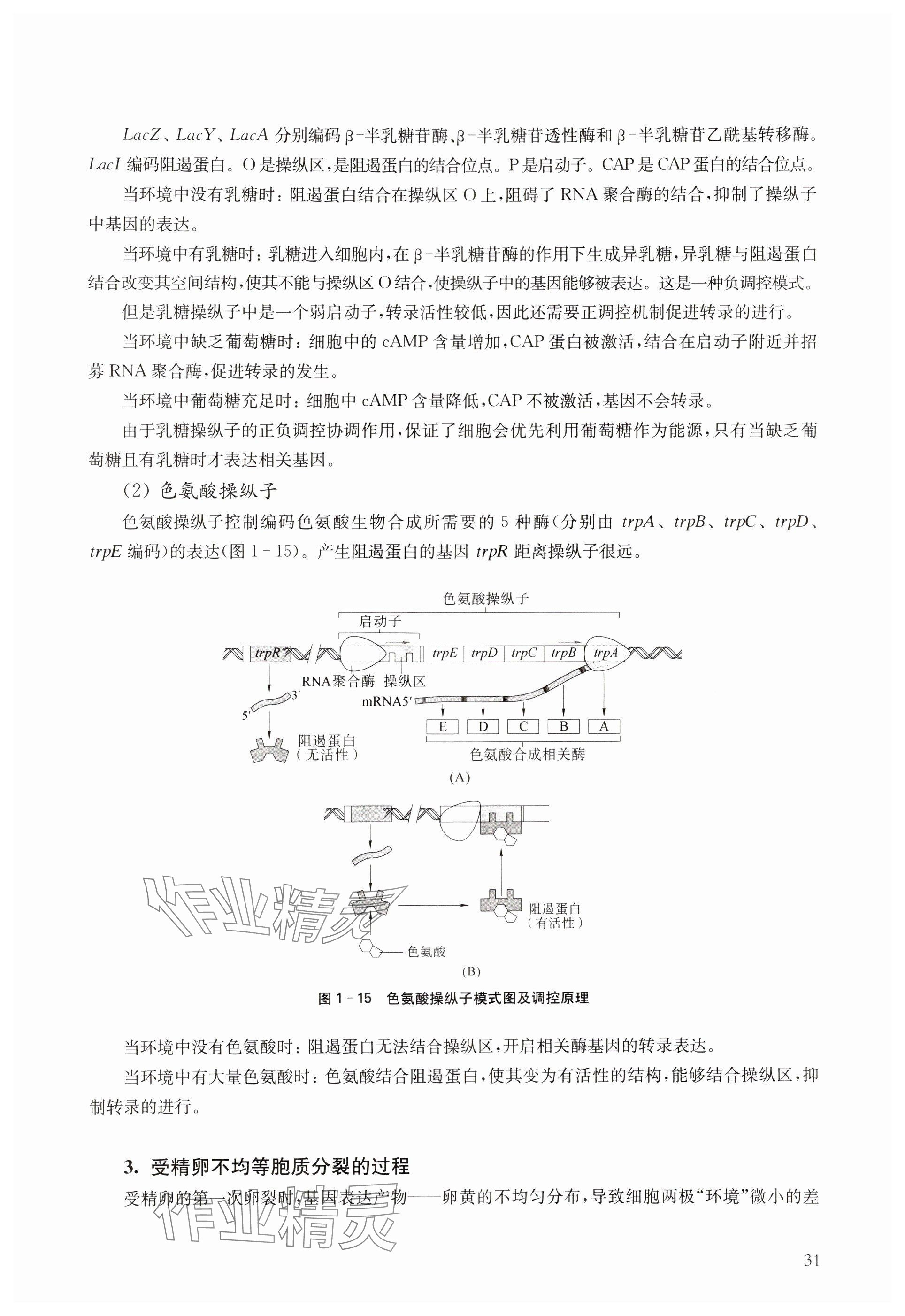 2024年教材课本高中生物必修2沪教版 参考答案第31页