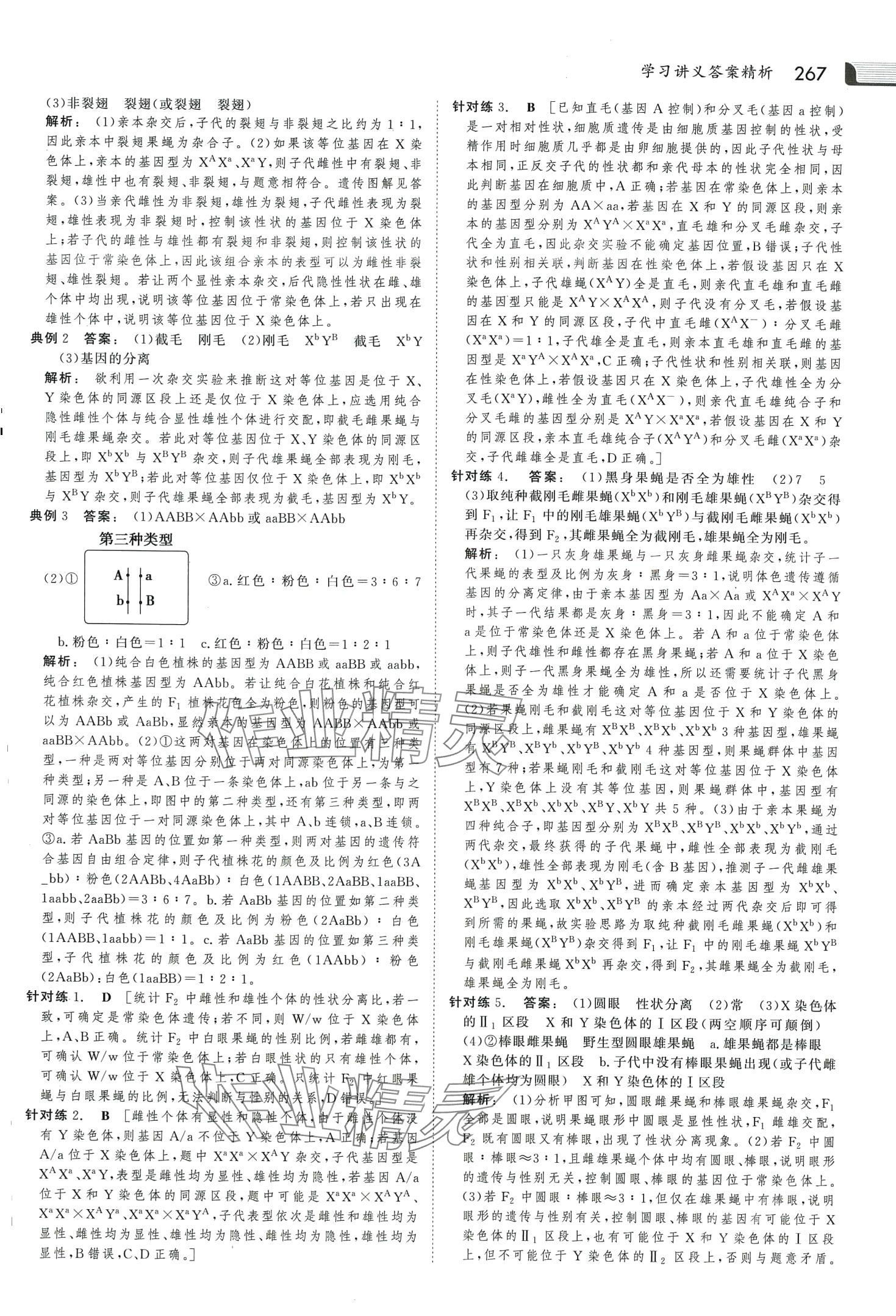 2024年金版新学案高中生物必修2人教版 第14页