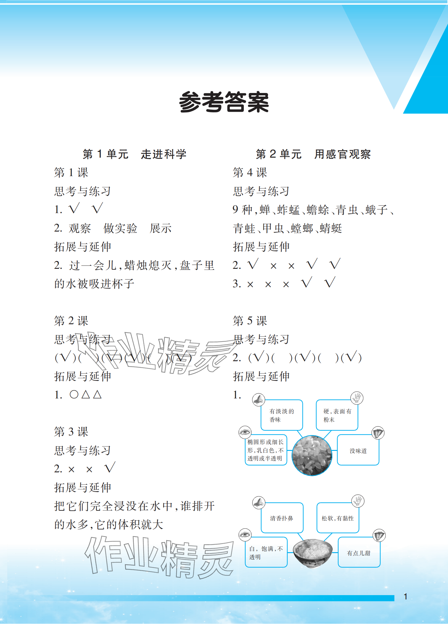 2023年小學(xué)科學(xué)實驗冊一年級上冊蘇教版 參考答案第1頁