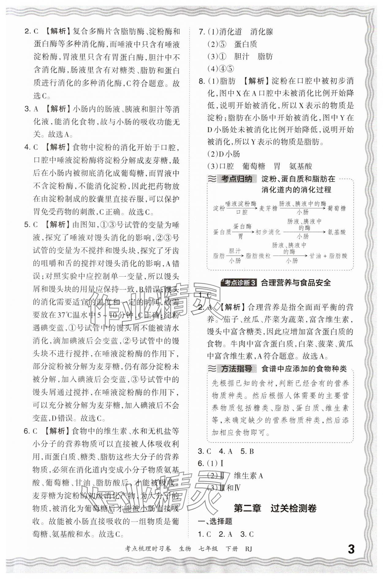 2024年王朝霞考点梳理时习卷七年级生物下册人教版 第3页