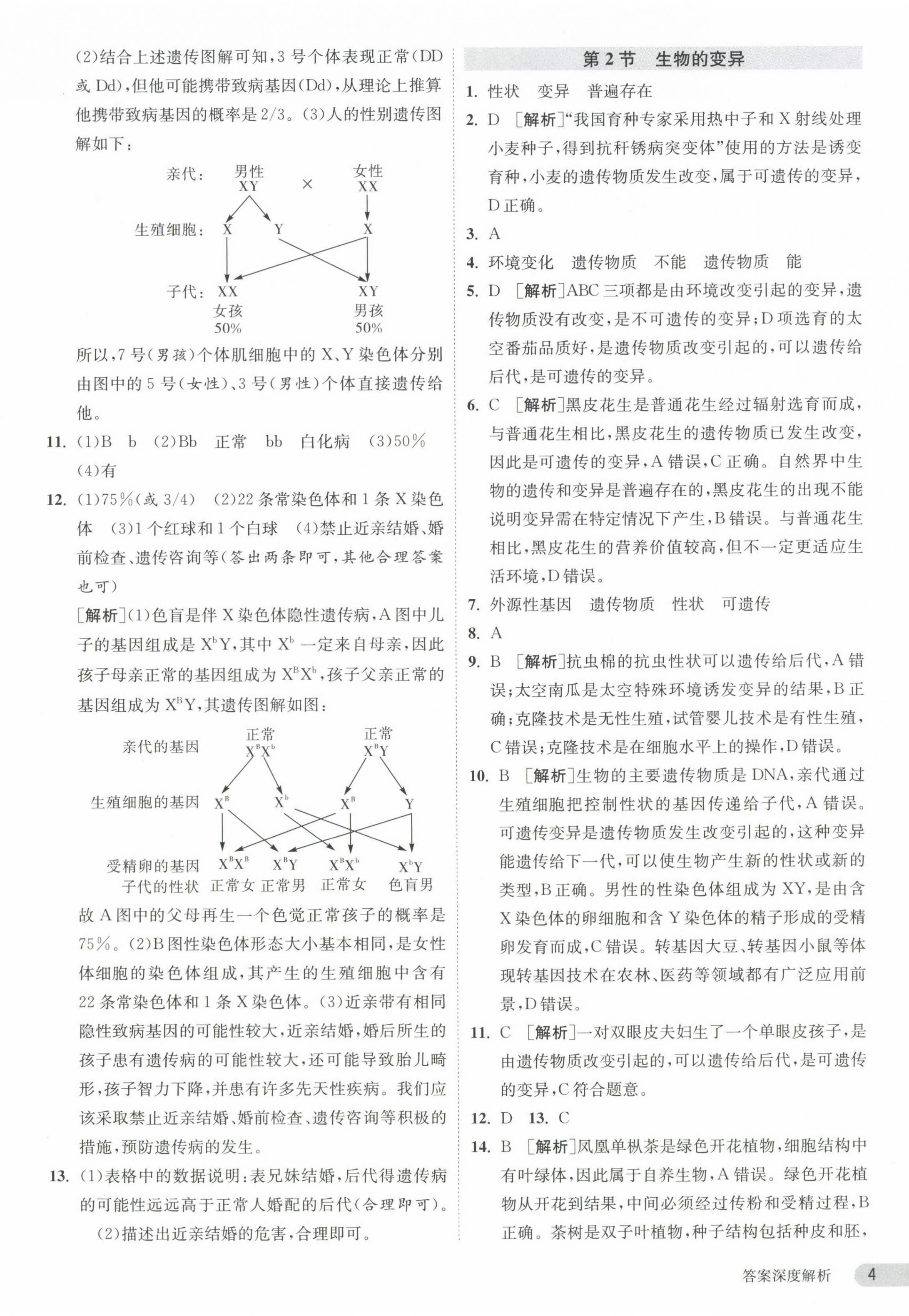 2024年課時訓(xùn)練江蘇人民出版社八年級生物下冊蘇科版 第4頁