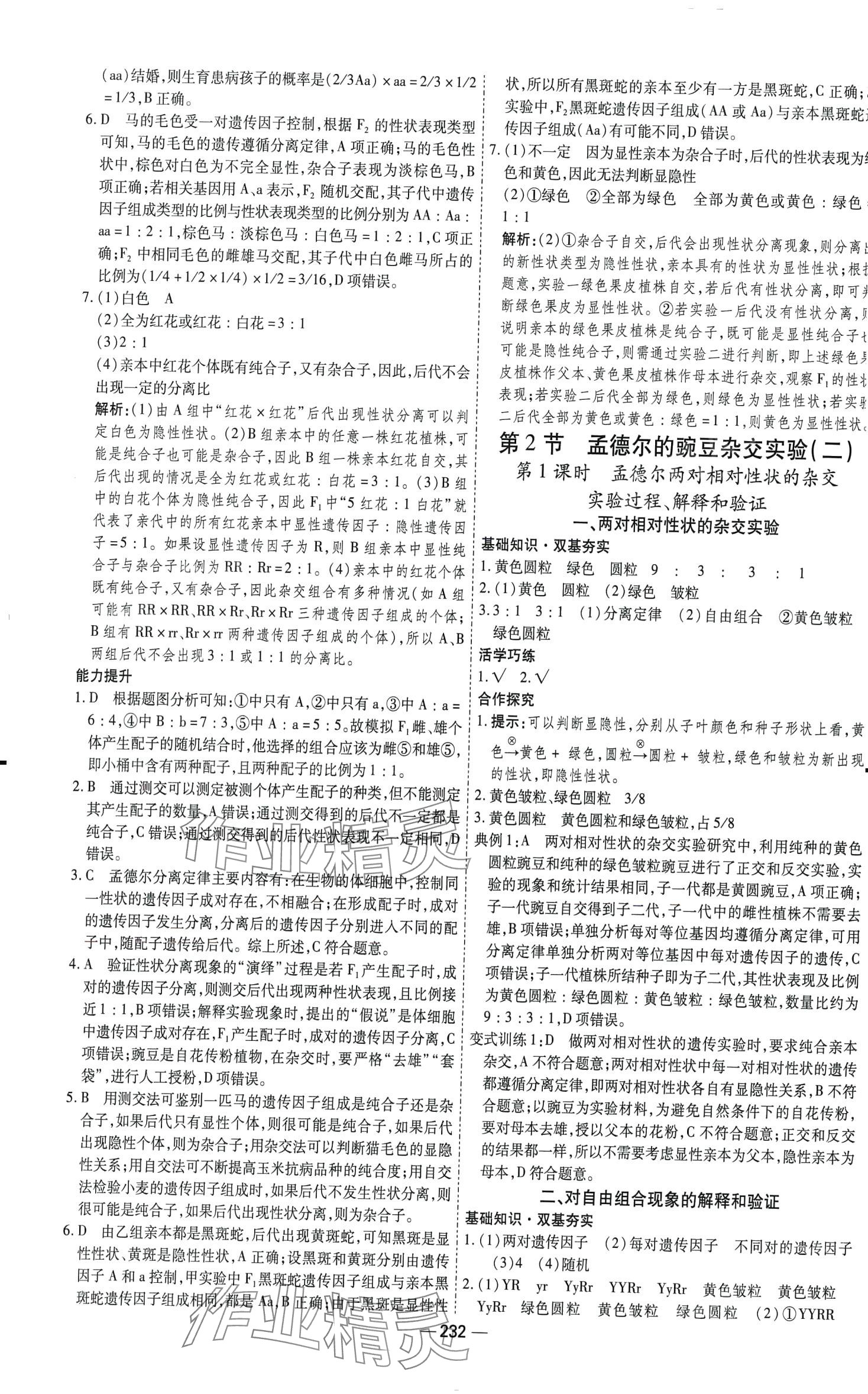 2024年成才之路高中新課程學(xué)習(xí)指導(dǎo)高中生物必修2人教版 第4頁