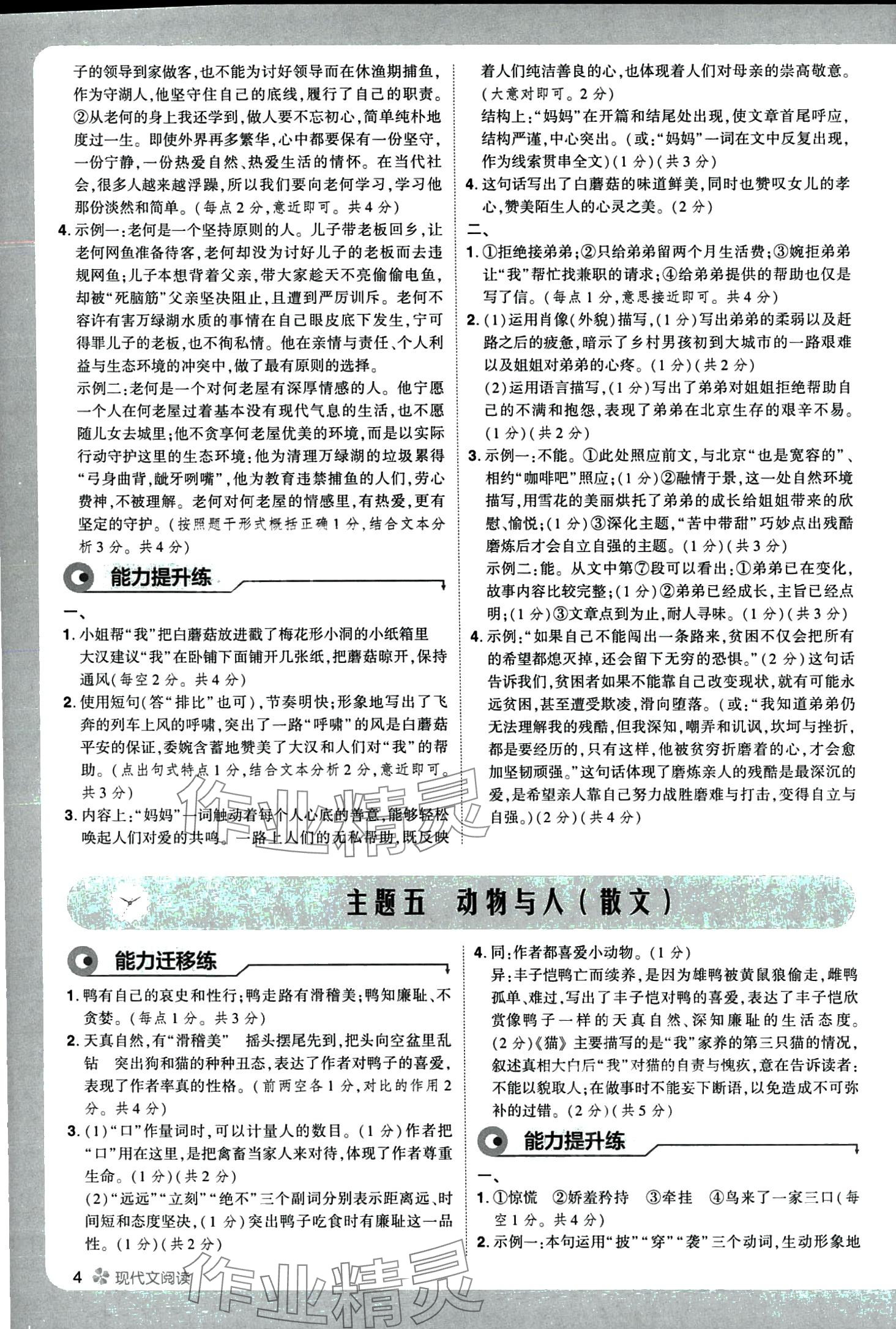 2024年現(xiàn)代文閱讀七年級語文全一冊通用版 第6頁