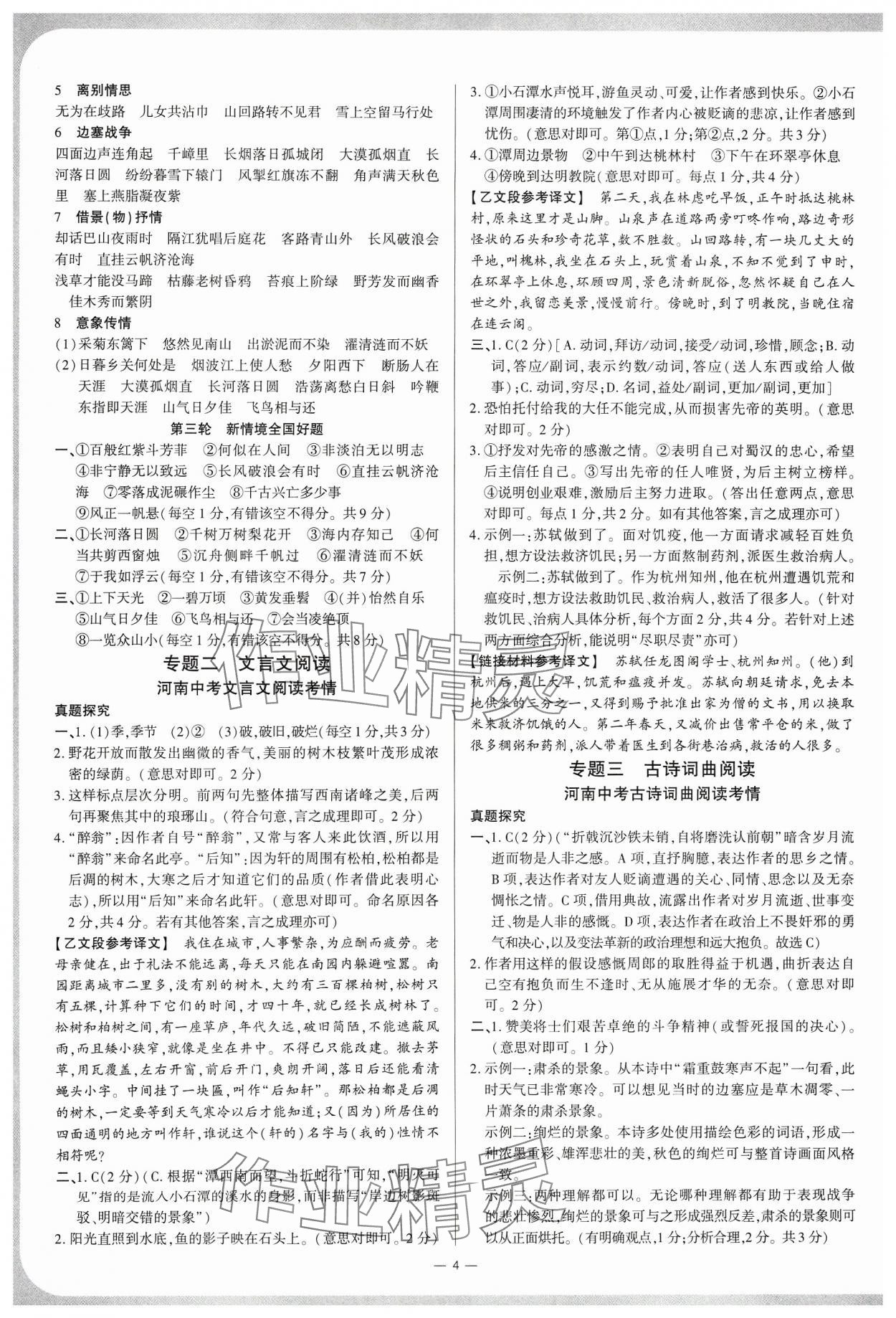 2024年鼎成中考精准提分语文河南专版 第3页