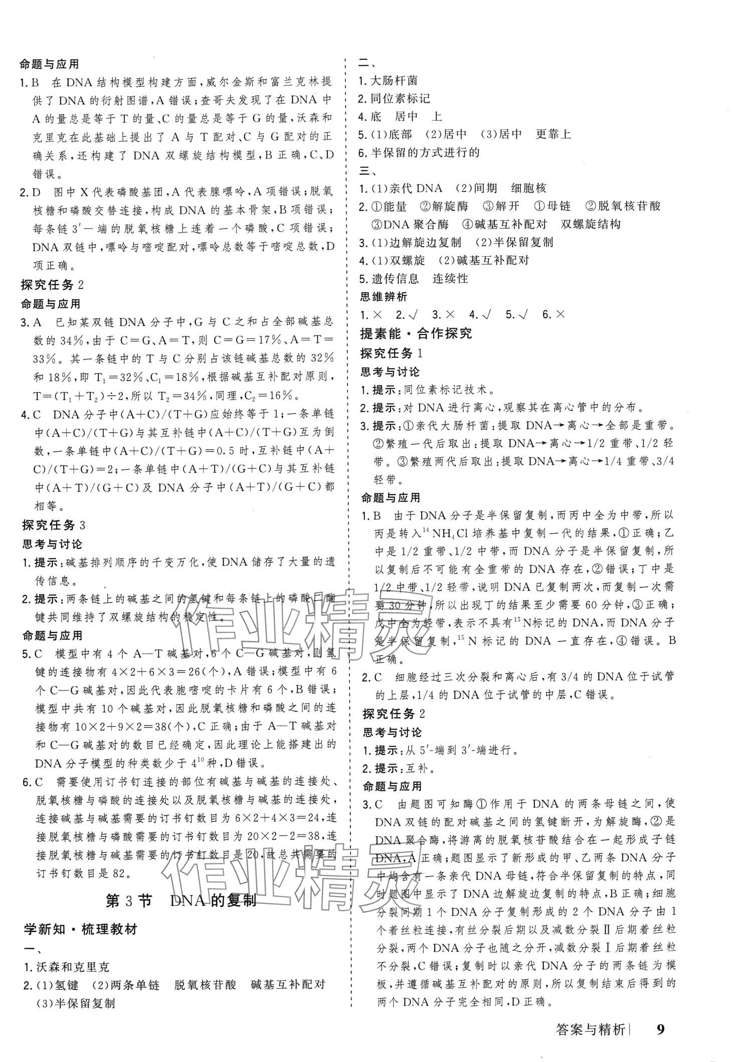 2024年高考领航高中生物必修2人教版 第9页