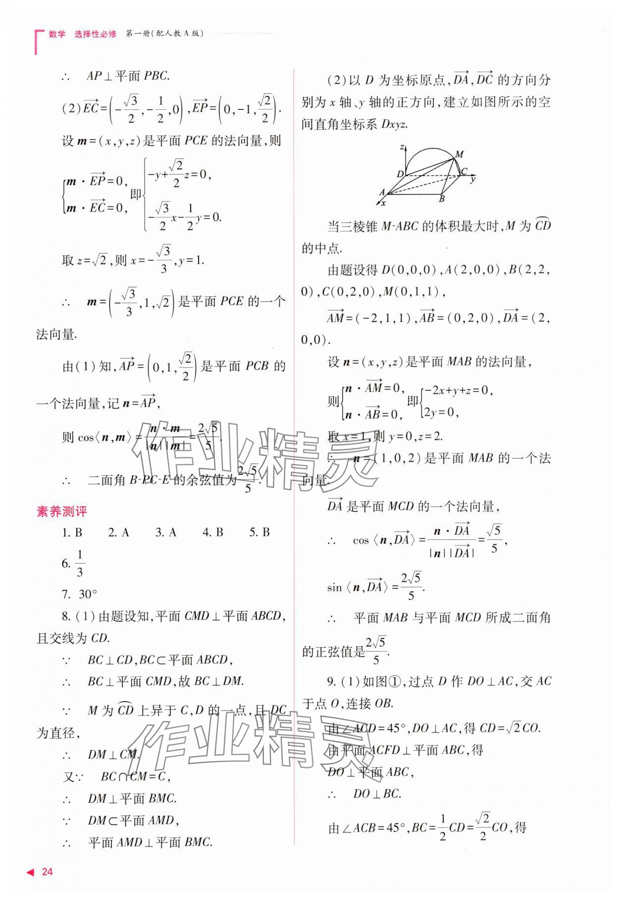 2023年普通高中新课程同步练习册高中数学选择性必修第一册人教版 参考答案第24页