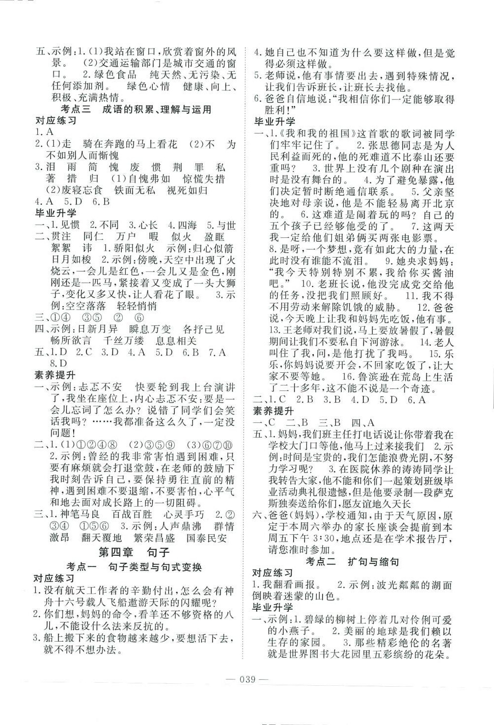 2024年小学总复习系统强化训练语文湖南专版 第3页