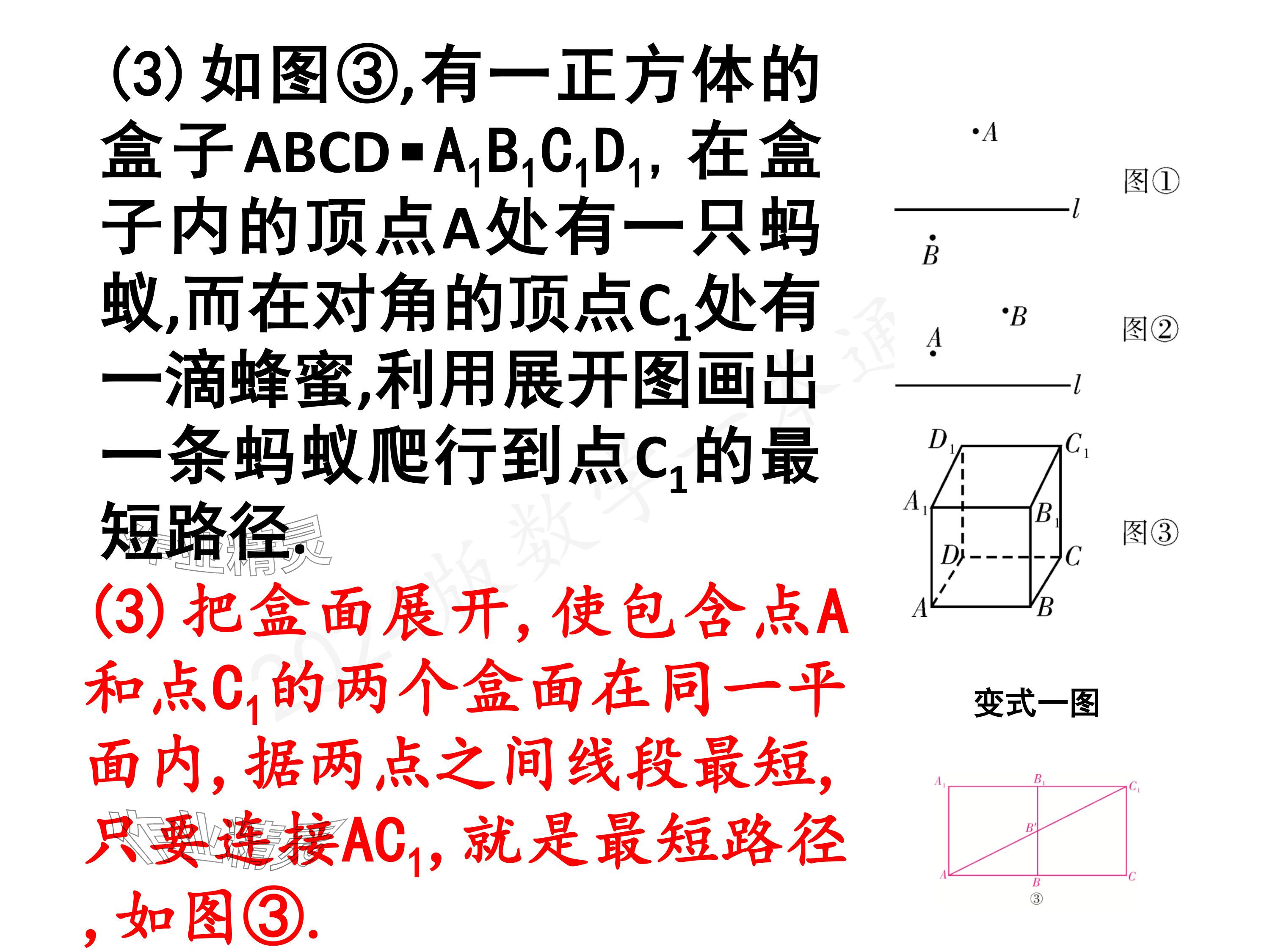 2024年一本通武汉出版社八年级数学上册北师大版核心板 参考答案第26页