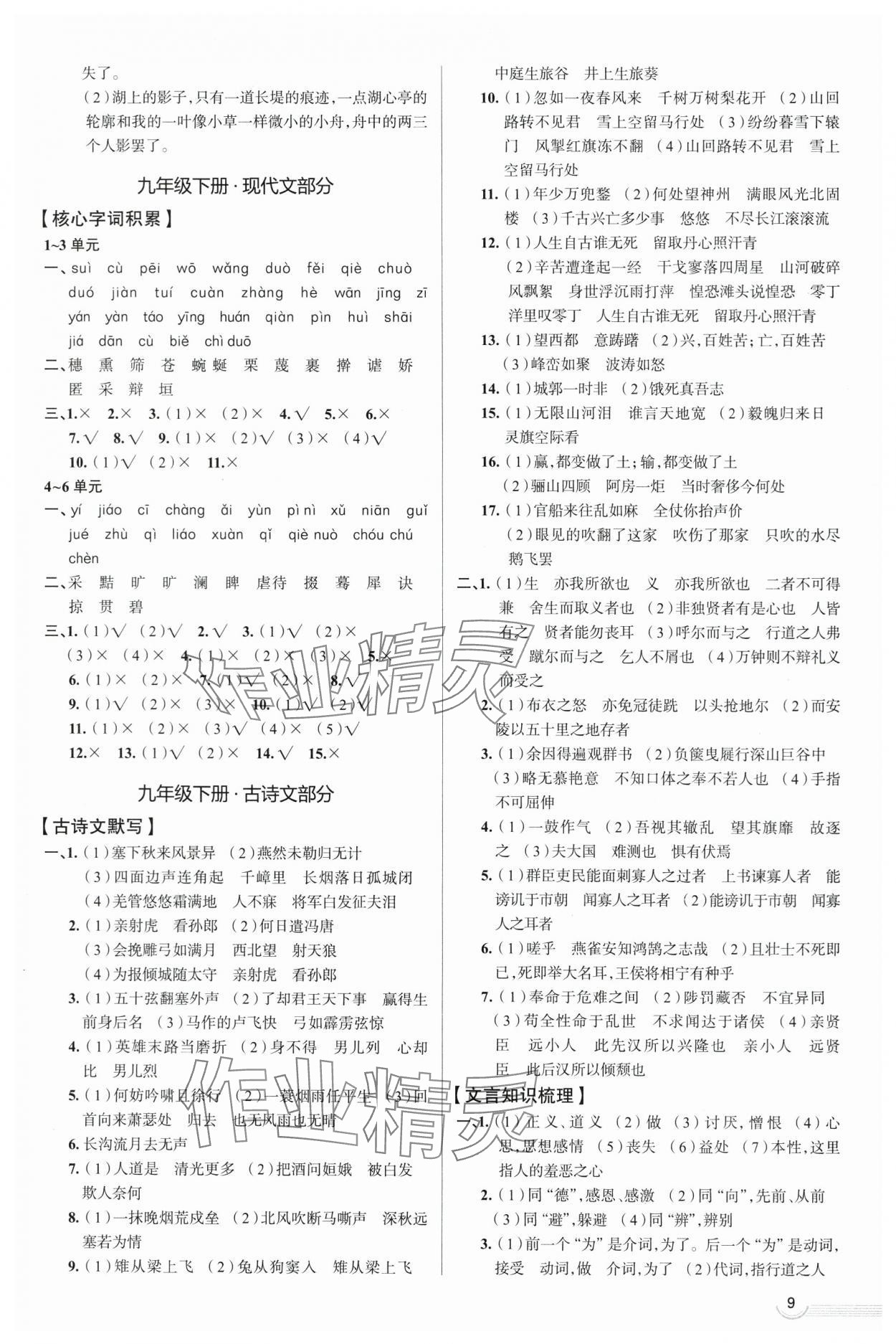 2024年中考零距离语文潍坊专版 第9页