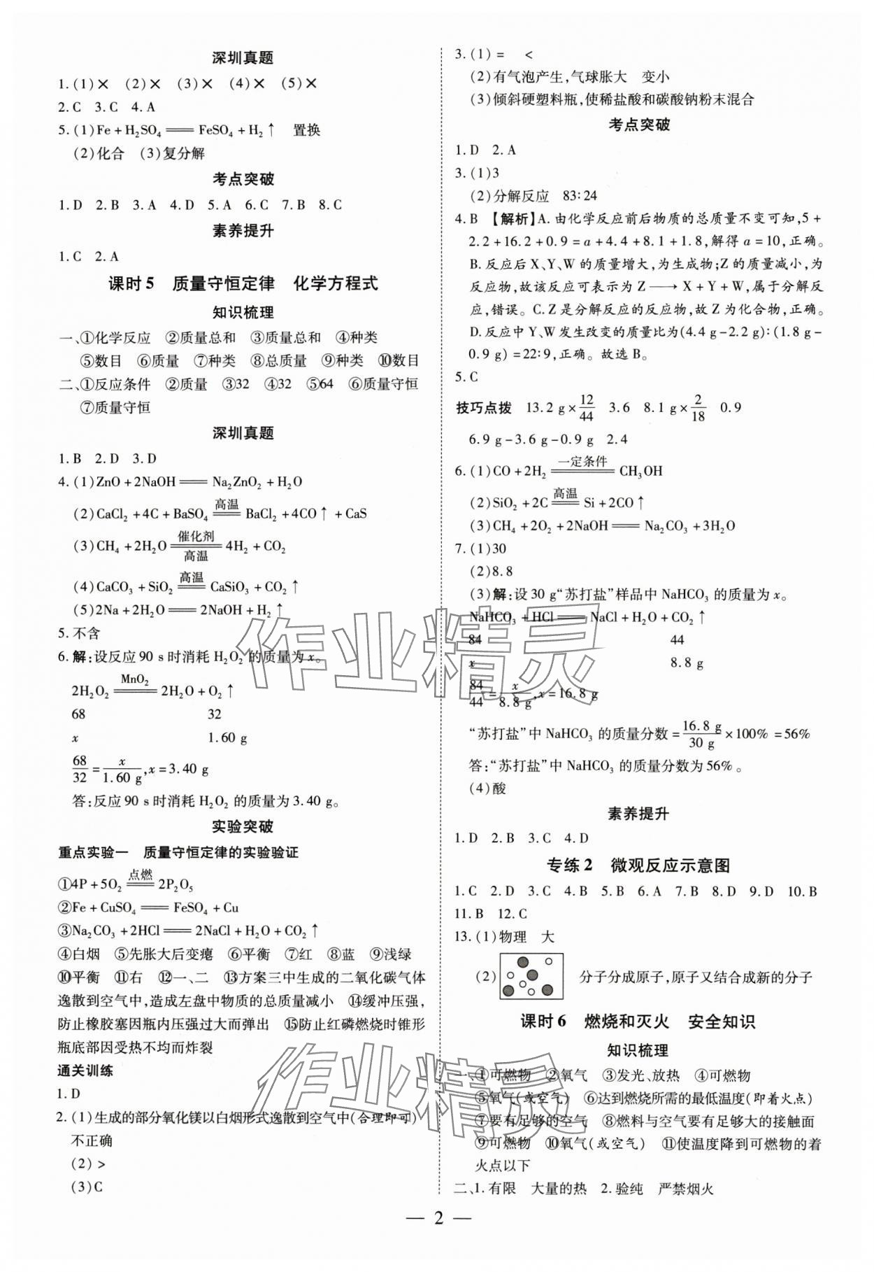 2024年領(lǐng)跑中考化學(xué)深圳專版 第2頁