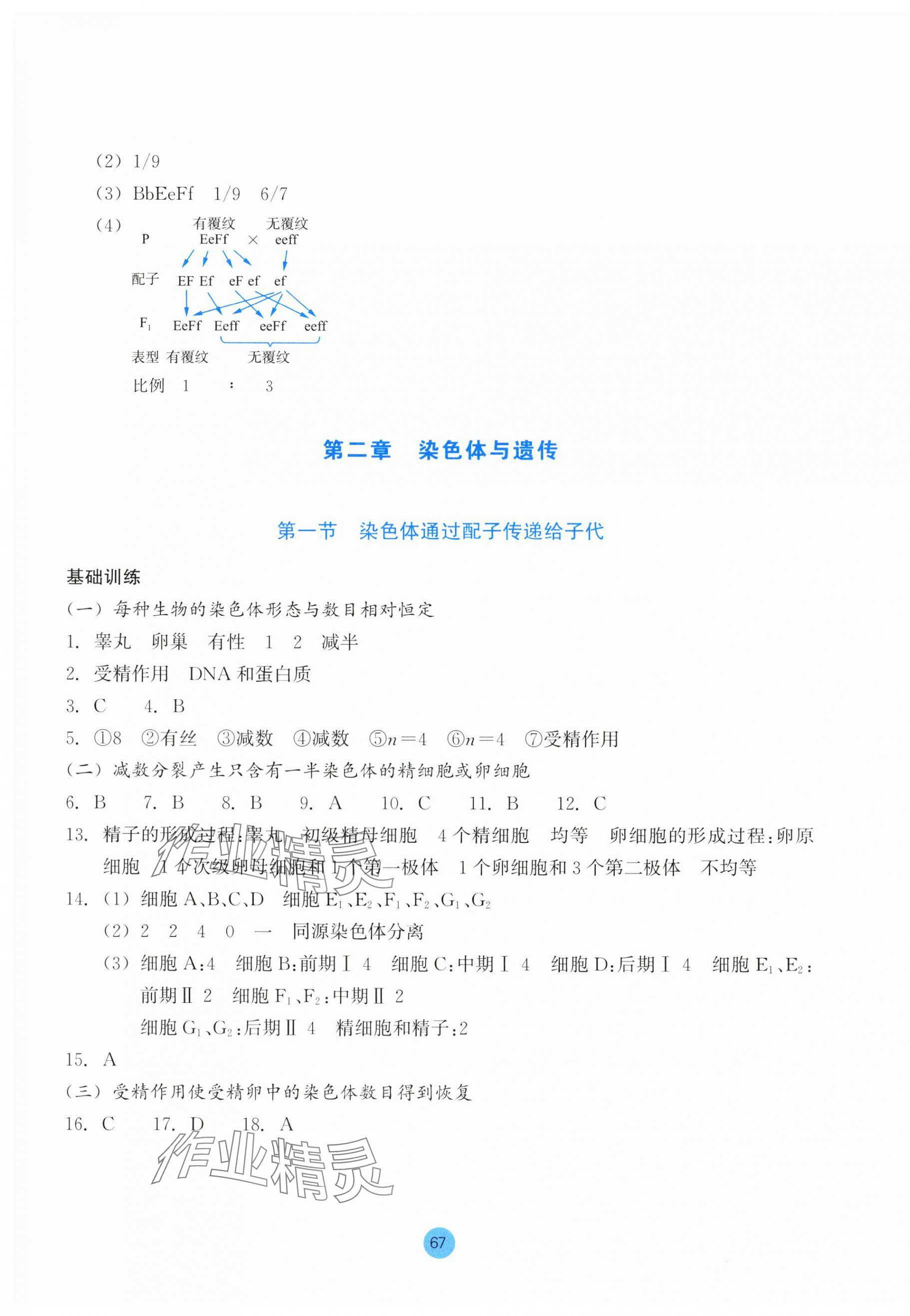 2024年作業(yè)本浙江教育出版社高中生物必修2浙科版 第3頁