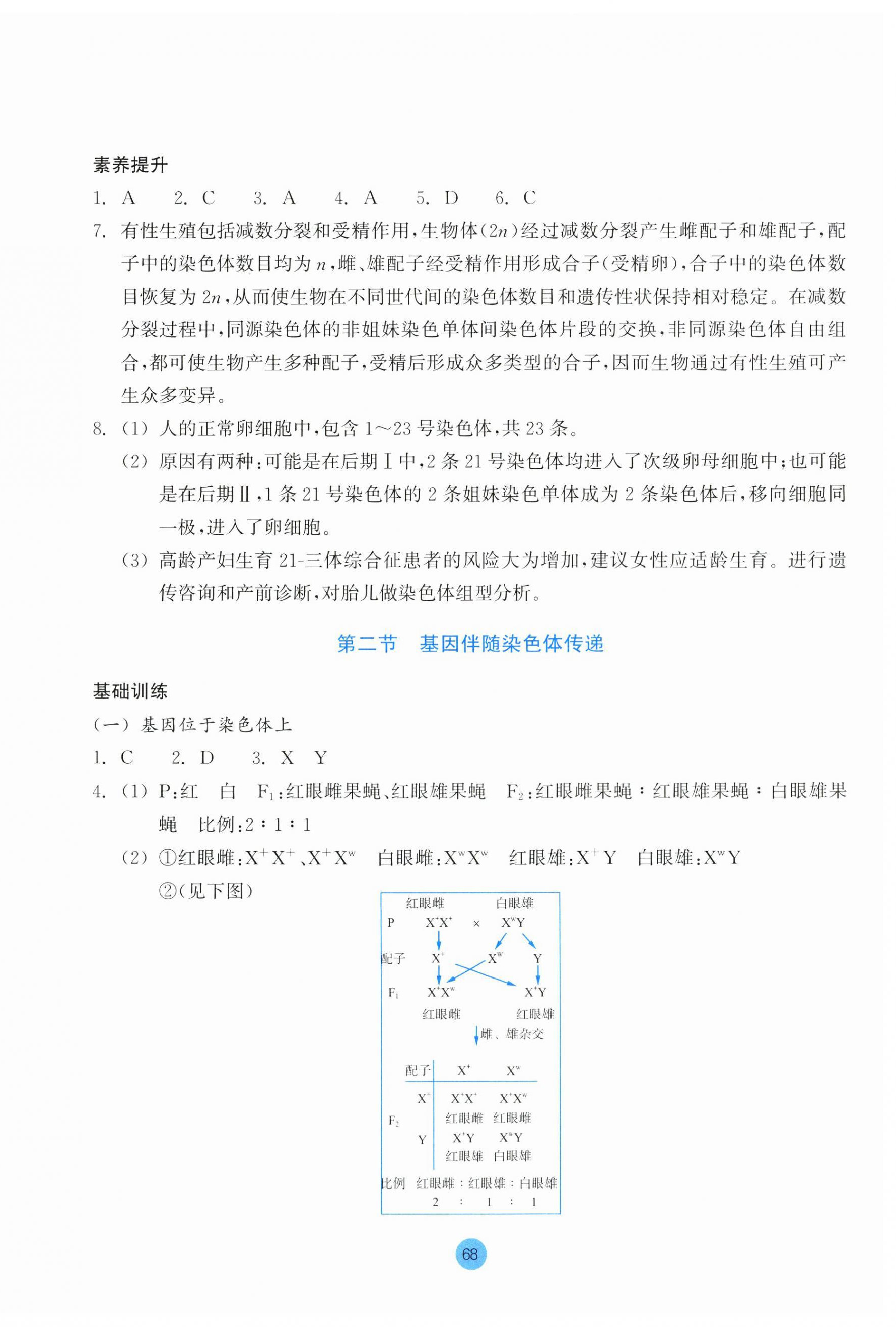 2024年作業(yè)本浙江教育出版社高中生物必修2浙科版 第4頁