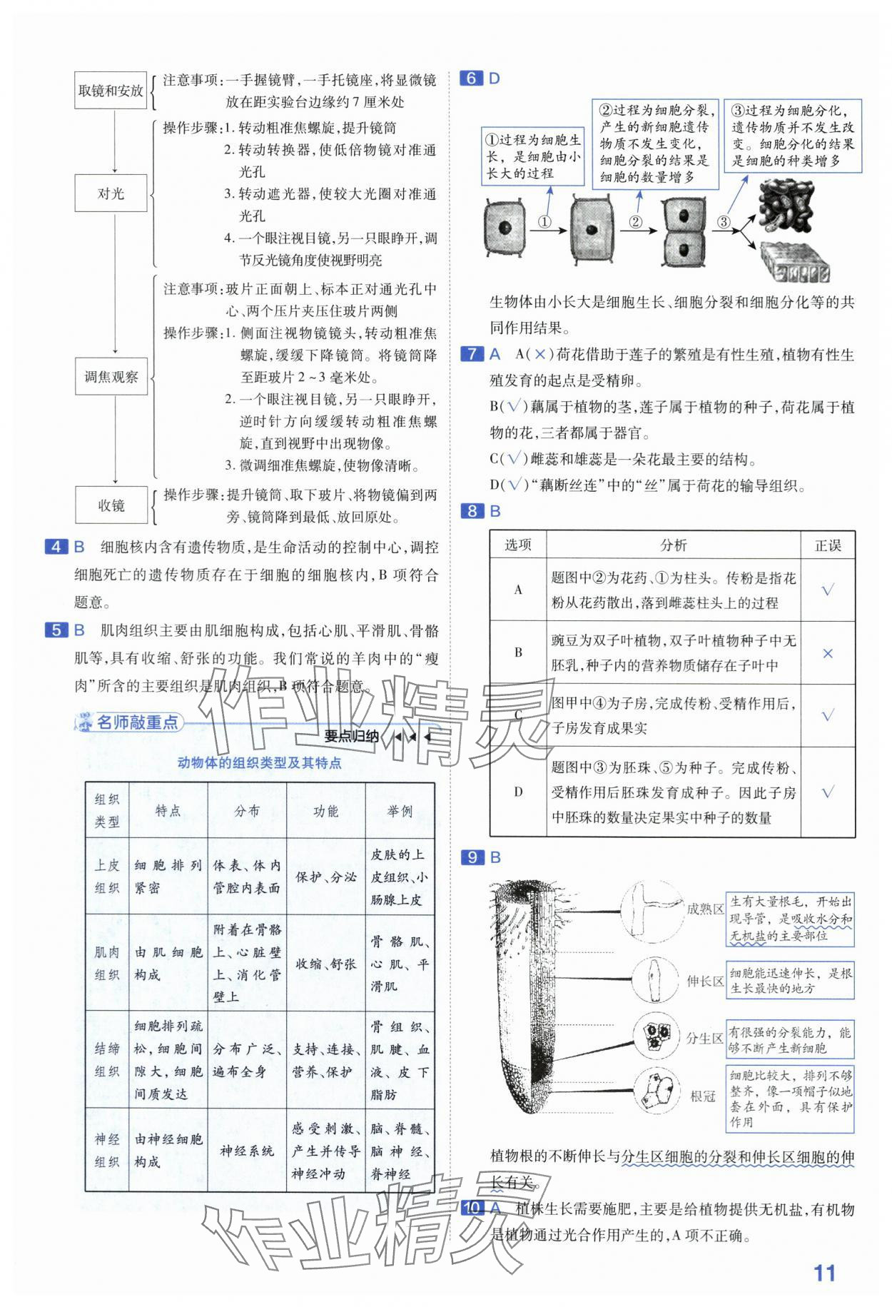 2024年金考卷45套匯編生物河南專版 第11頁