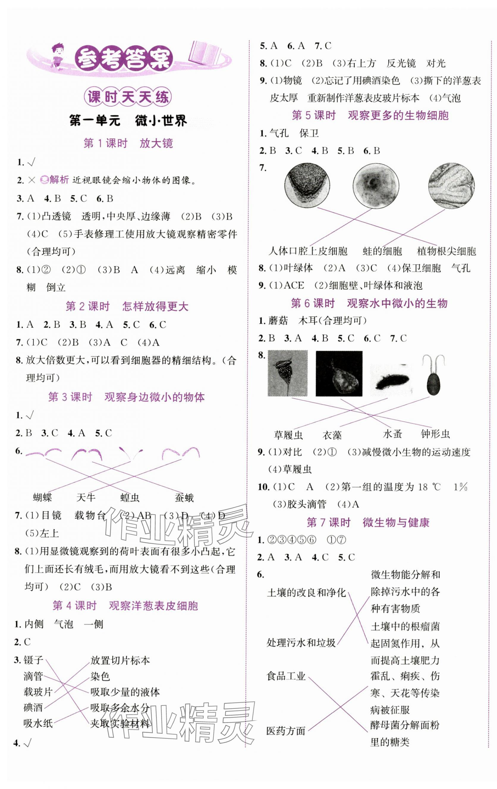 2023年奔跑吧少年六年级科学上册教科版 第1页