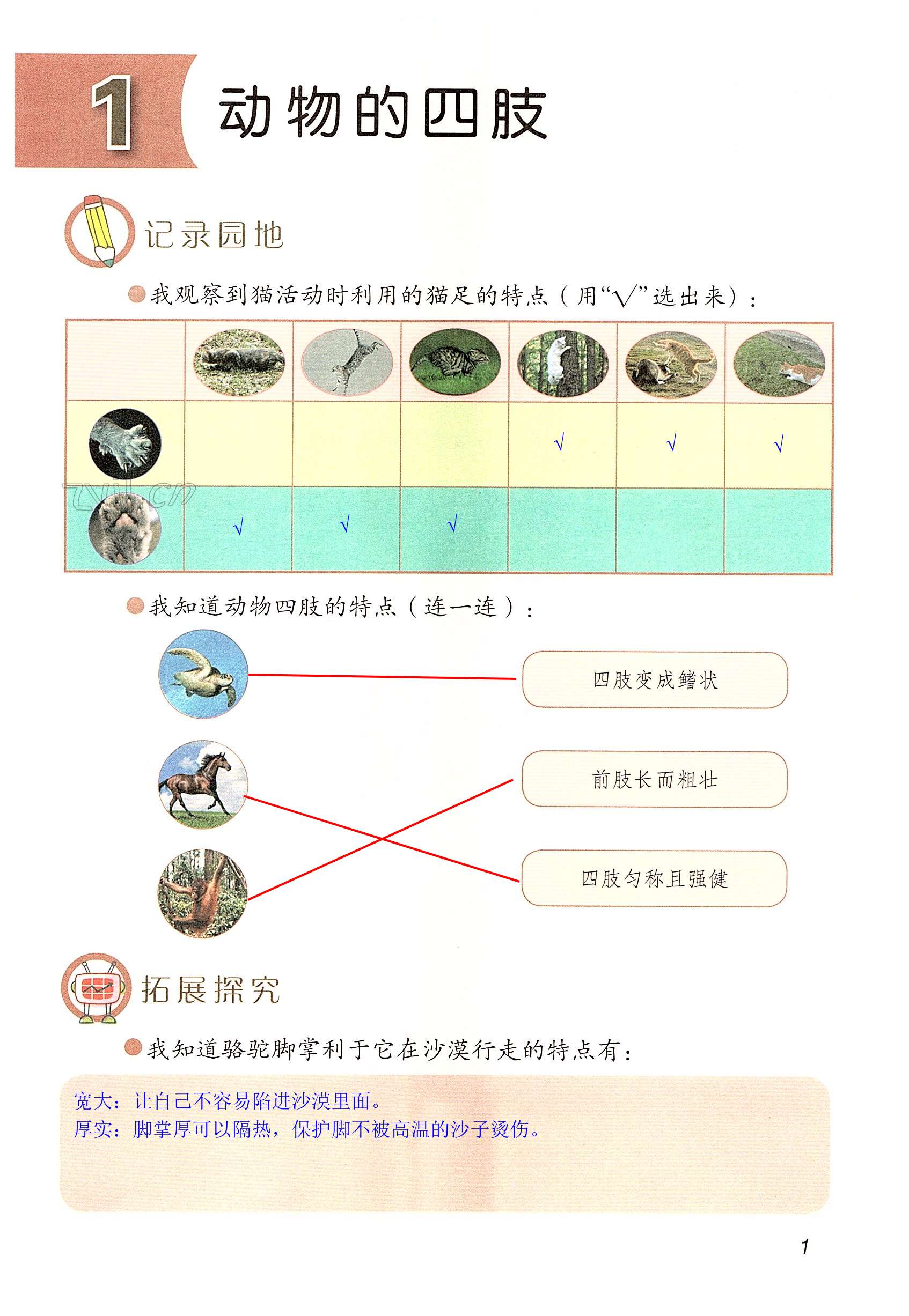 2022年学生活动手册三年级科学上册青岛版 第1页