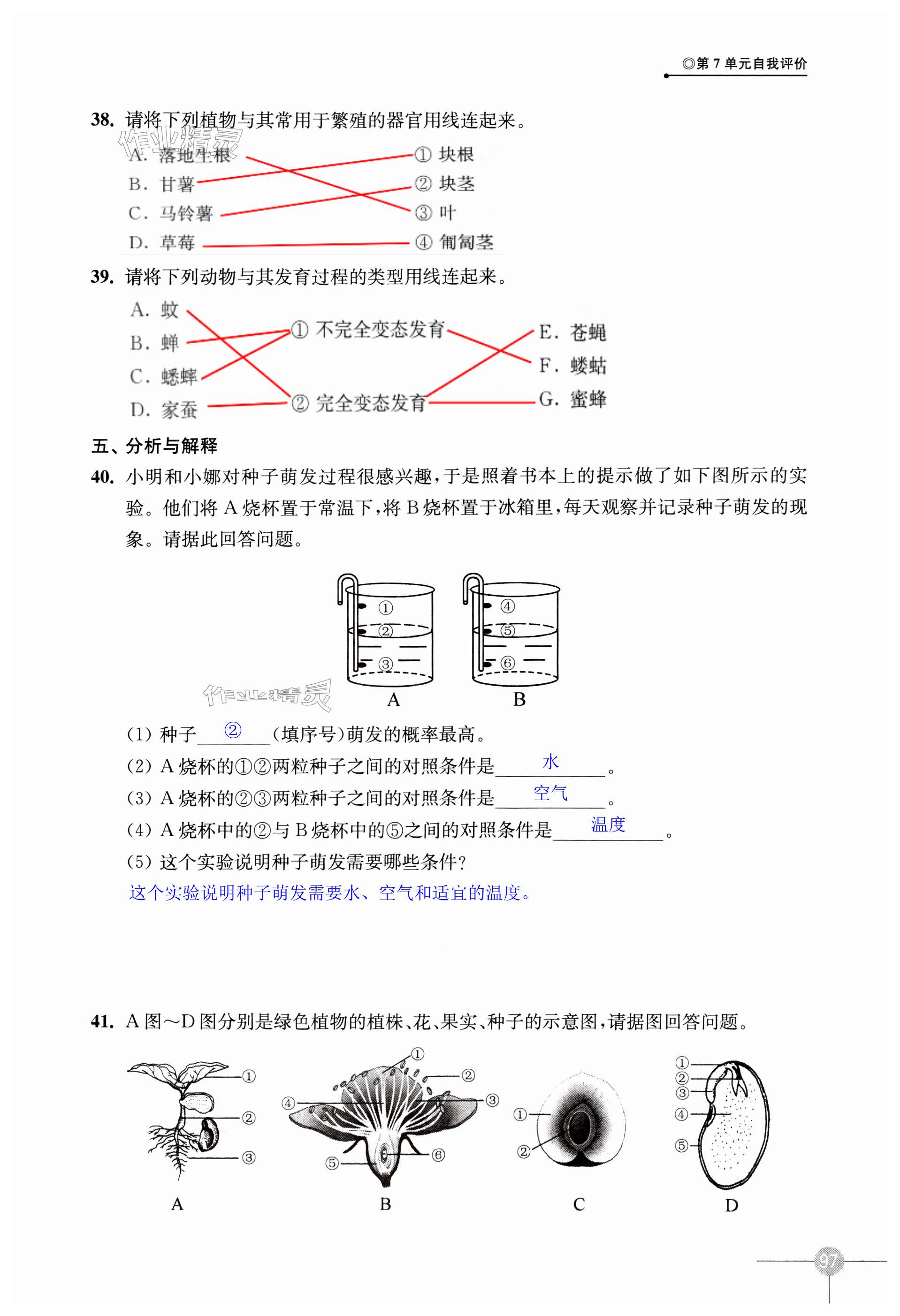 第97页