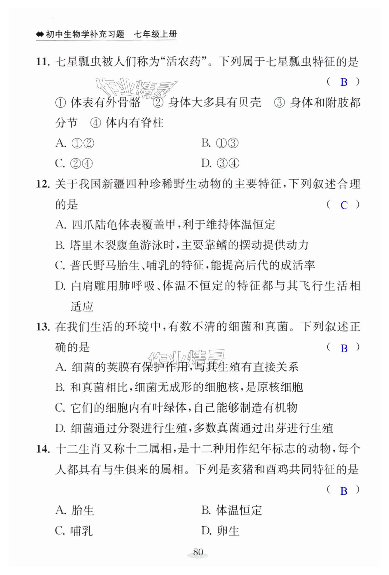 第80页