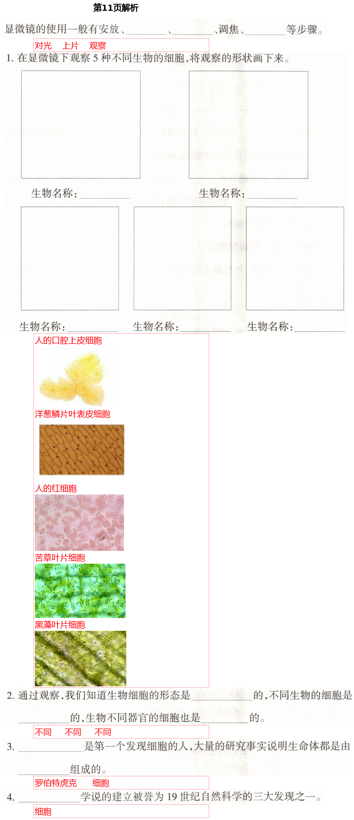 2021年导学新作业六年级科学下册教科版 第11页