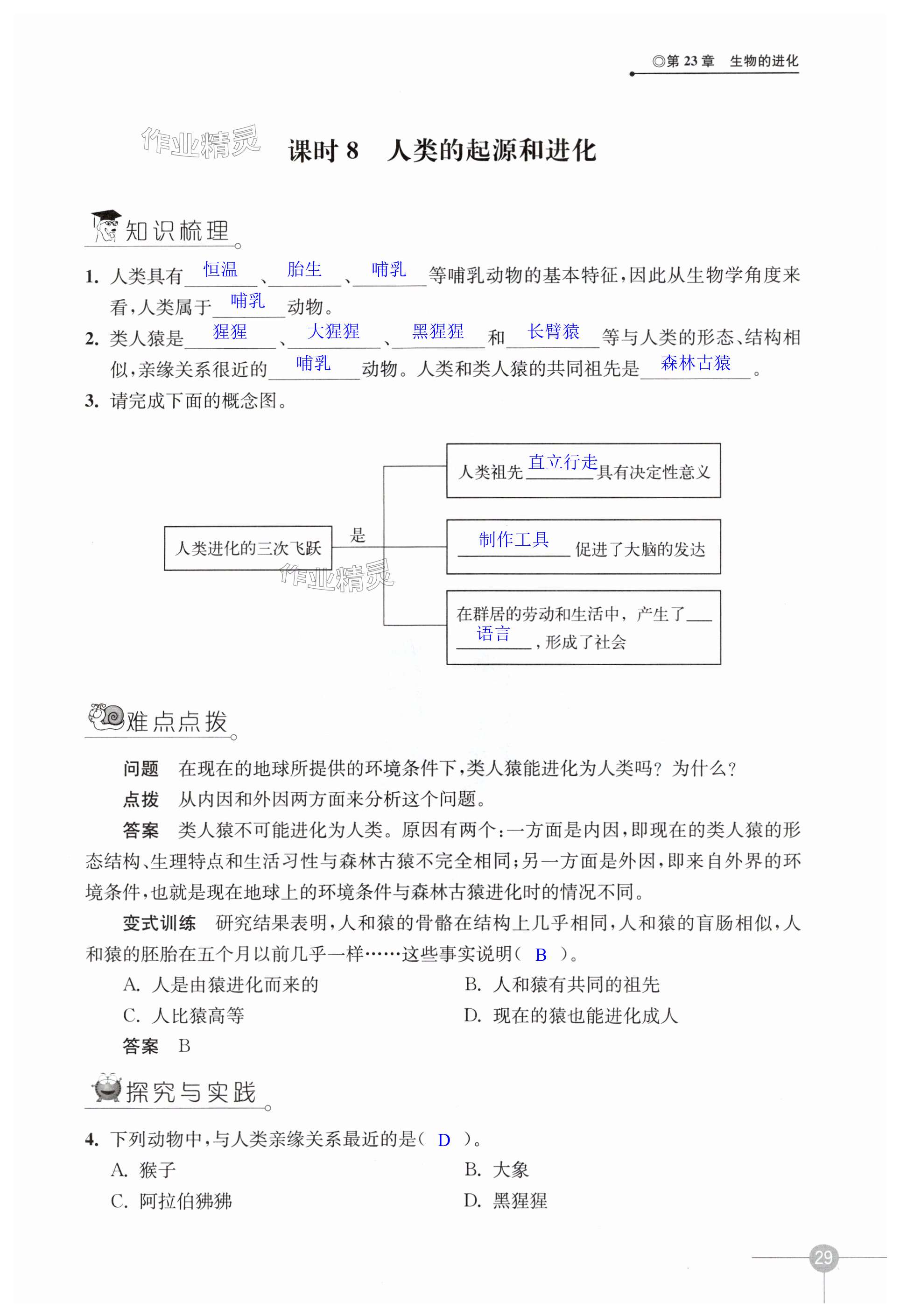 第29页