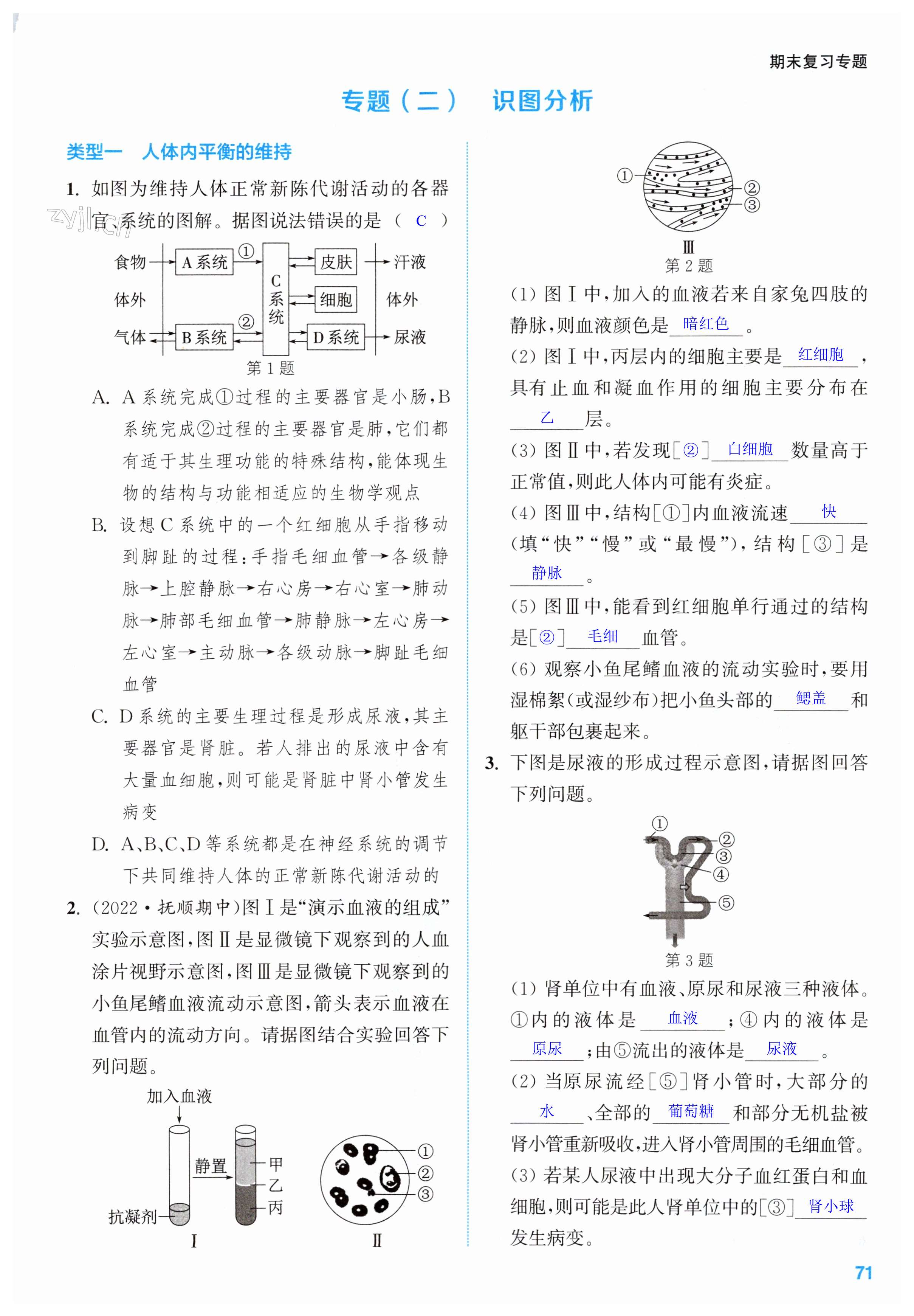 第71页