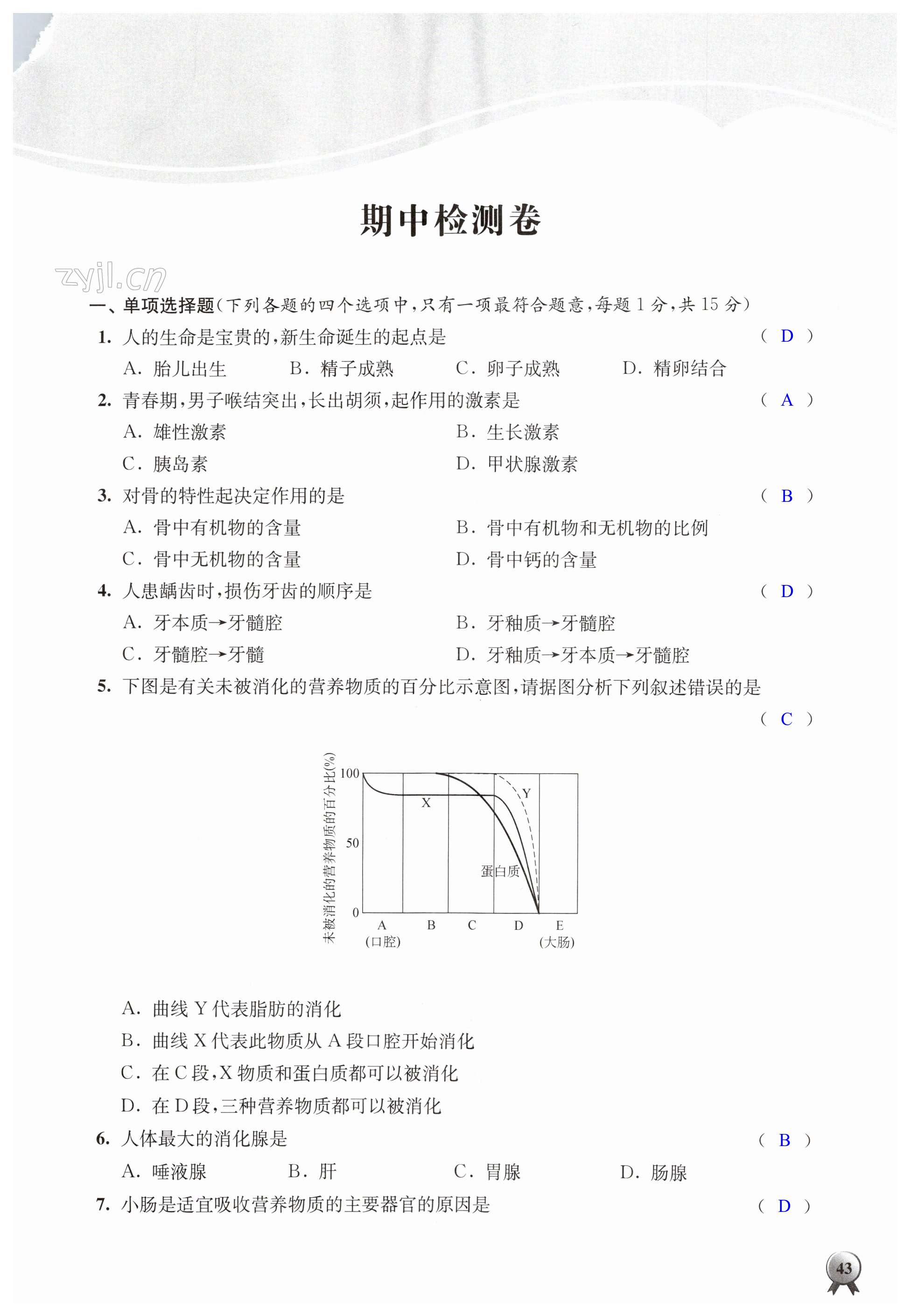 第43页