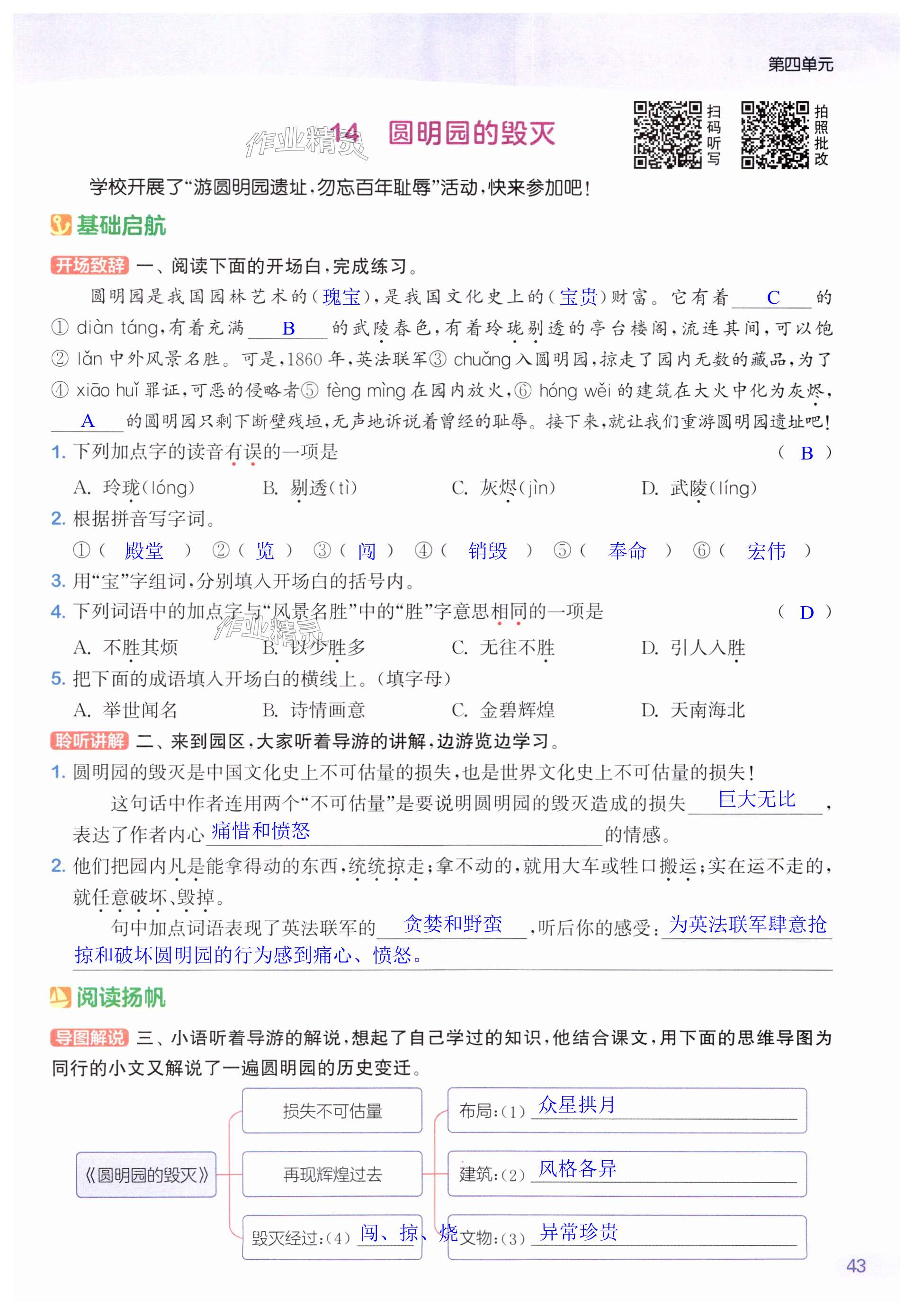 第43页